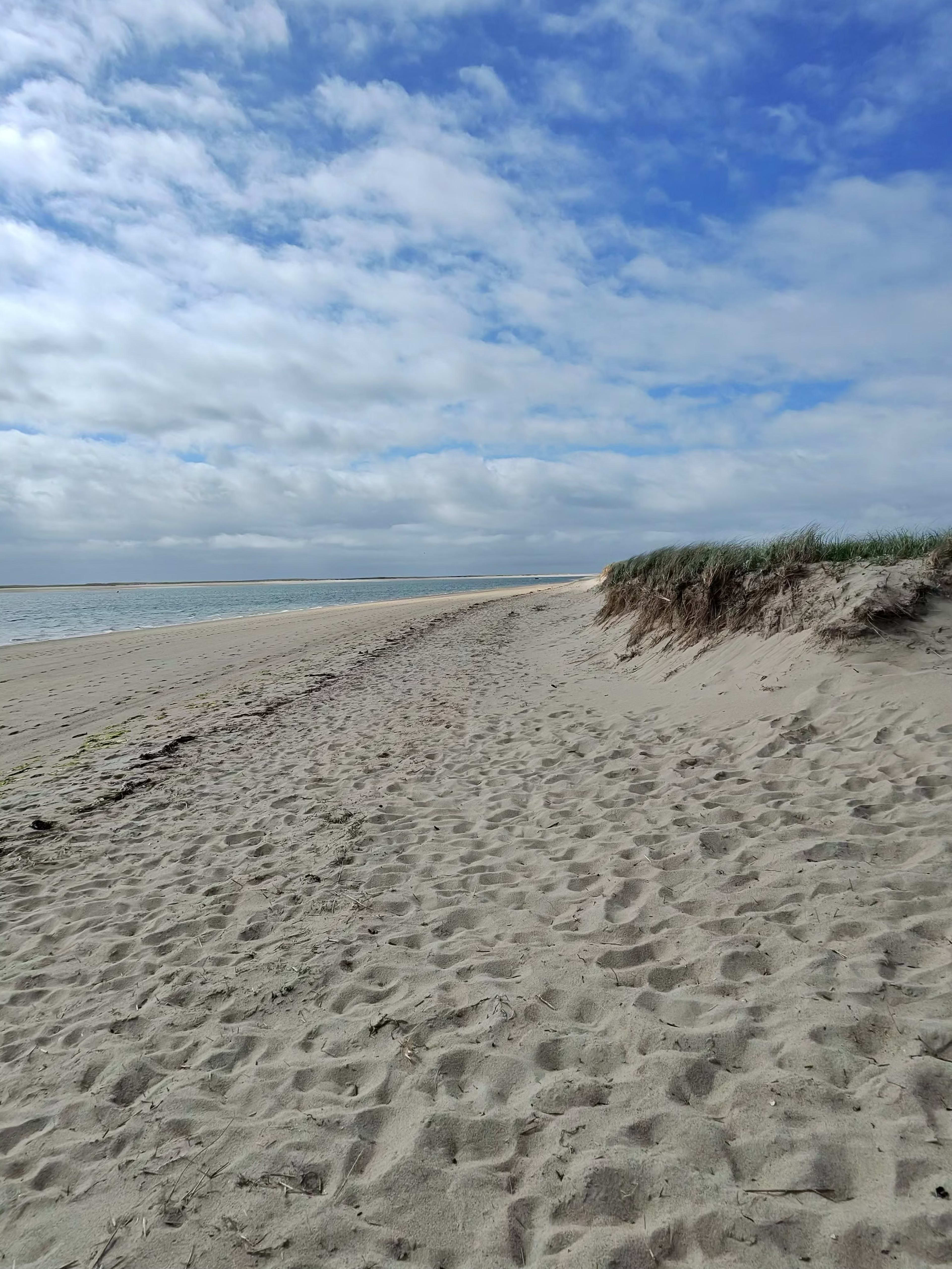 Cape Cod After September 15: The Dog Owner's Season