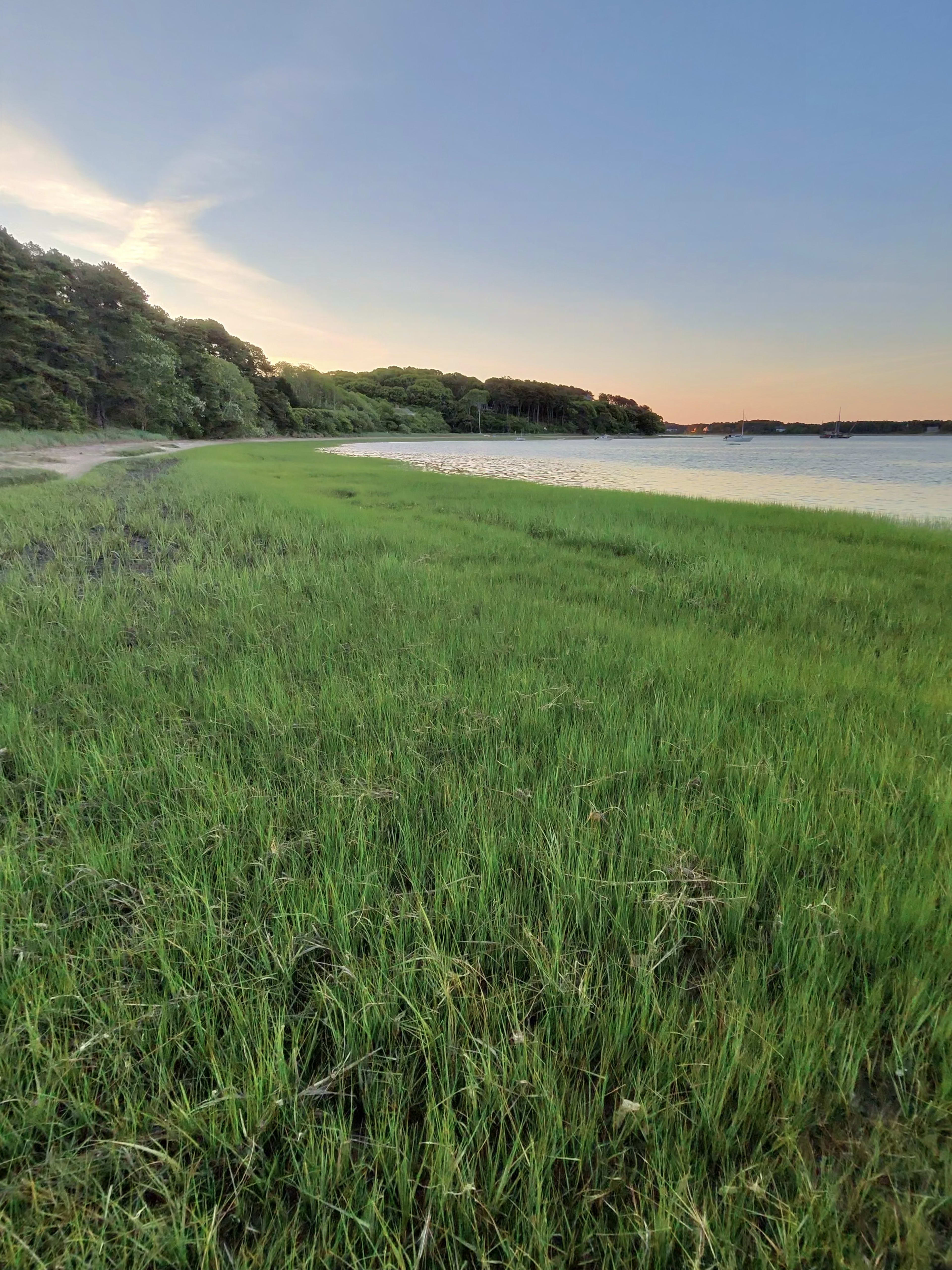 Get the Heat Checked: The Cape Cod Heating Tune-Up Guide