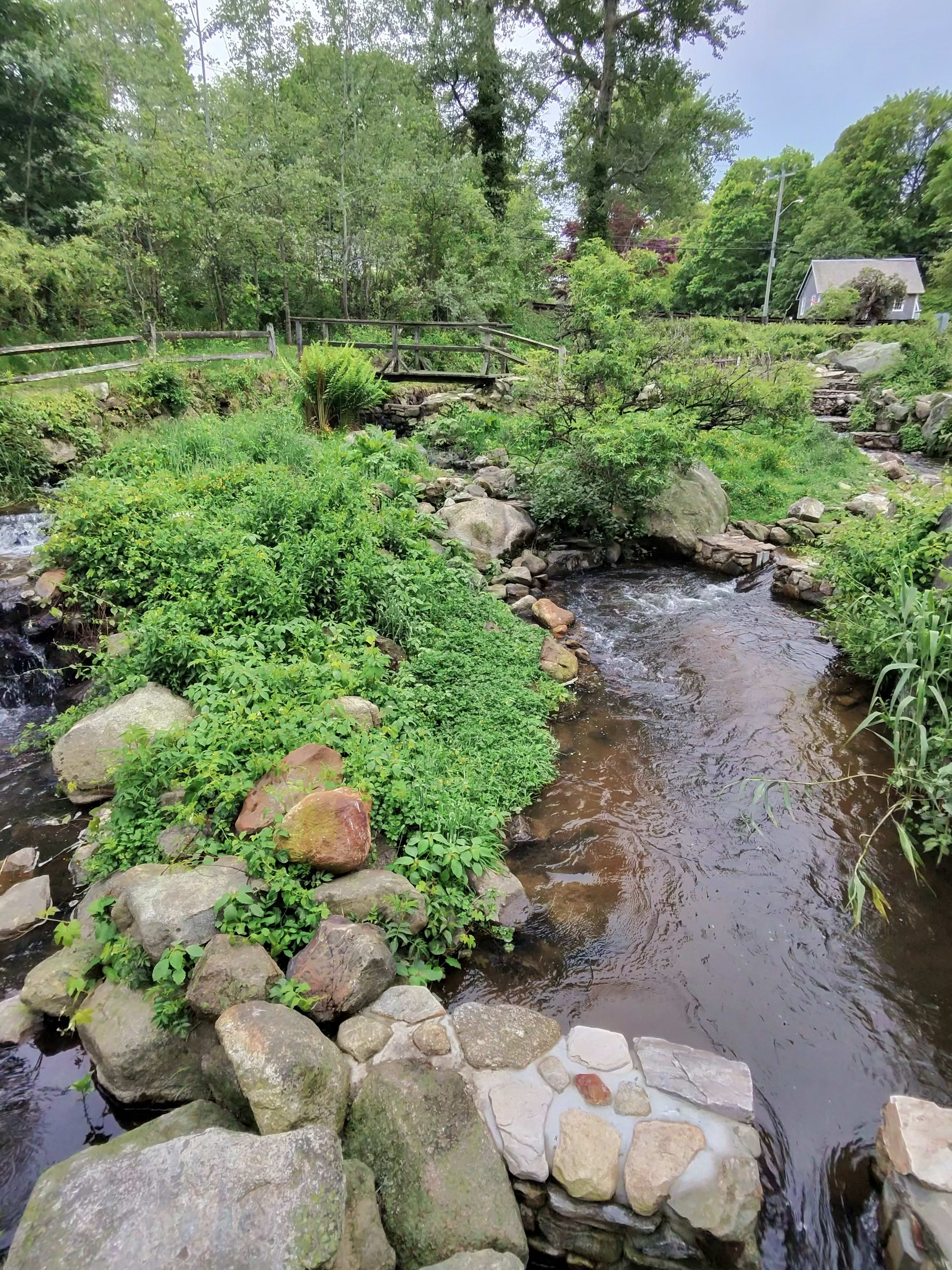 The Customer-Service & Reputation Playbook for Cape Cod Well Water & Filtration Pros