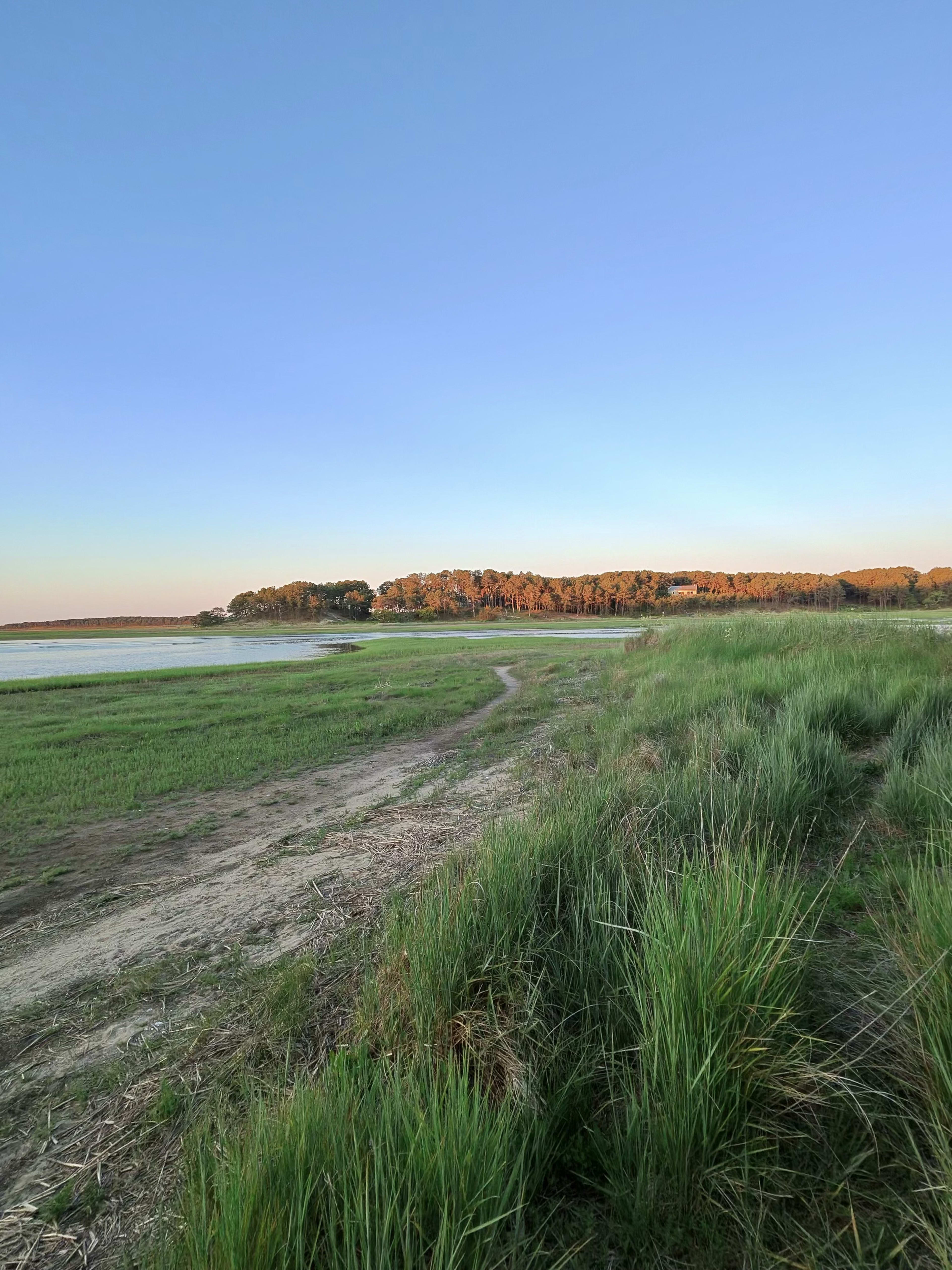 The Biggest Mistakes Cape Cod Irrigation Pros Make — And How to Avoid Them