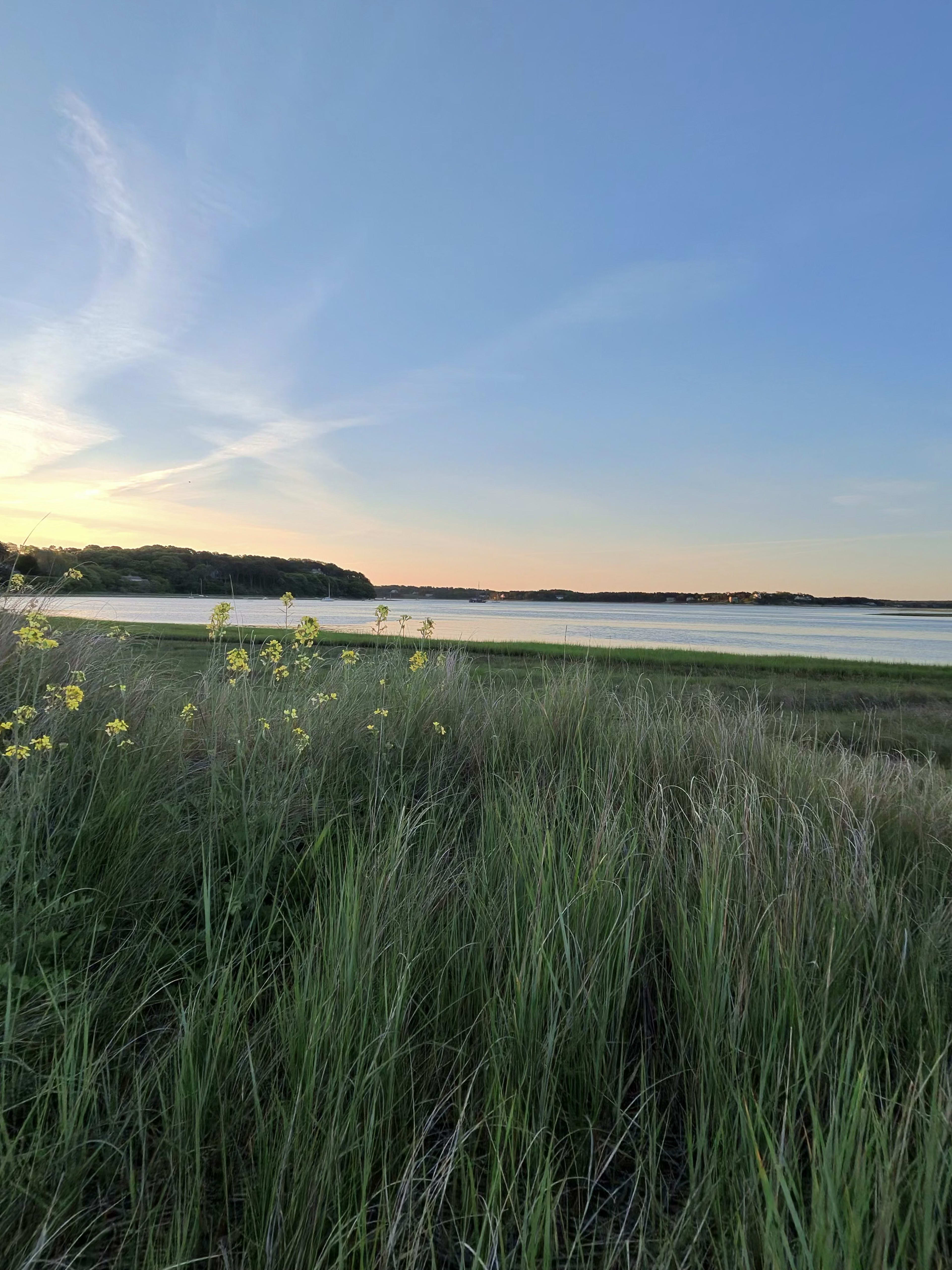 The Cape Cod Irrigation Contractor's Efficiency & Margin Playbook