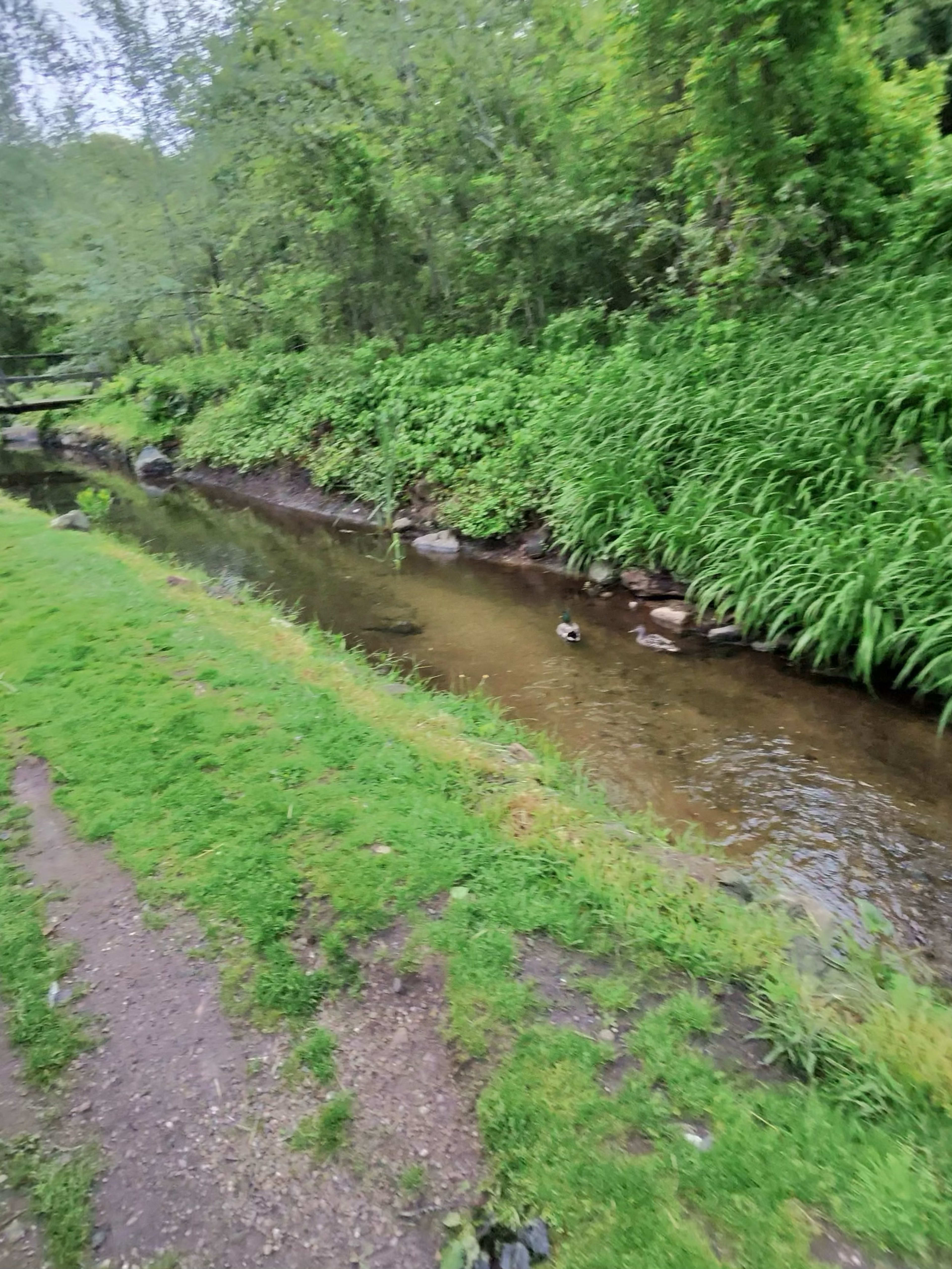 The Cape Cod Irrigation Pro's Customer-Service & Reputation Playbook