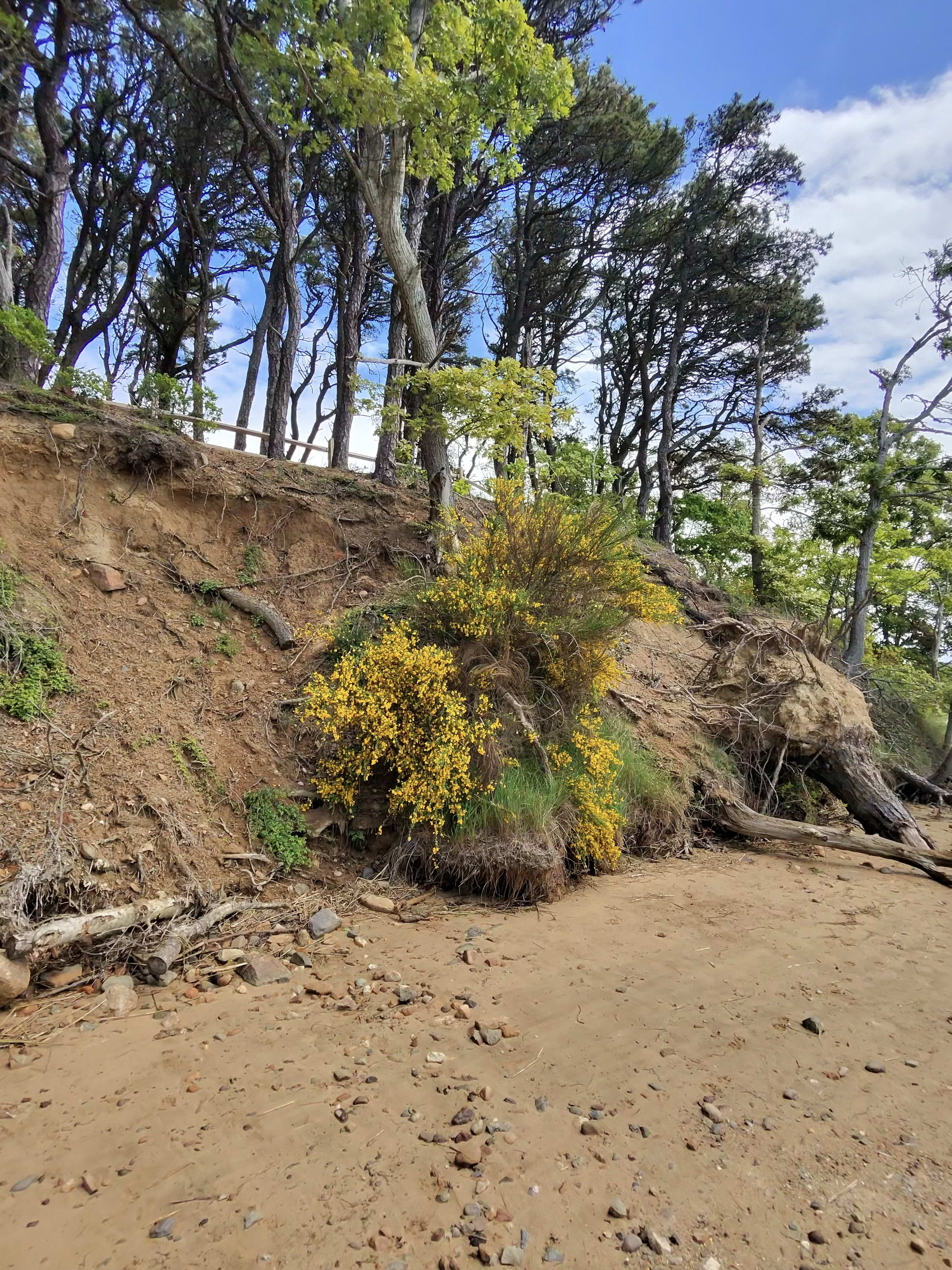 Cape Cod Pest Control Pro Playbook: Squeezing Margin Out of a Seasonal, Salt-Air Market