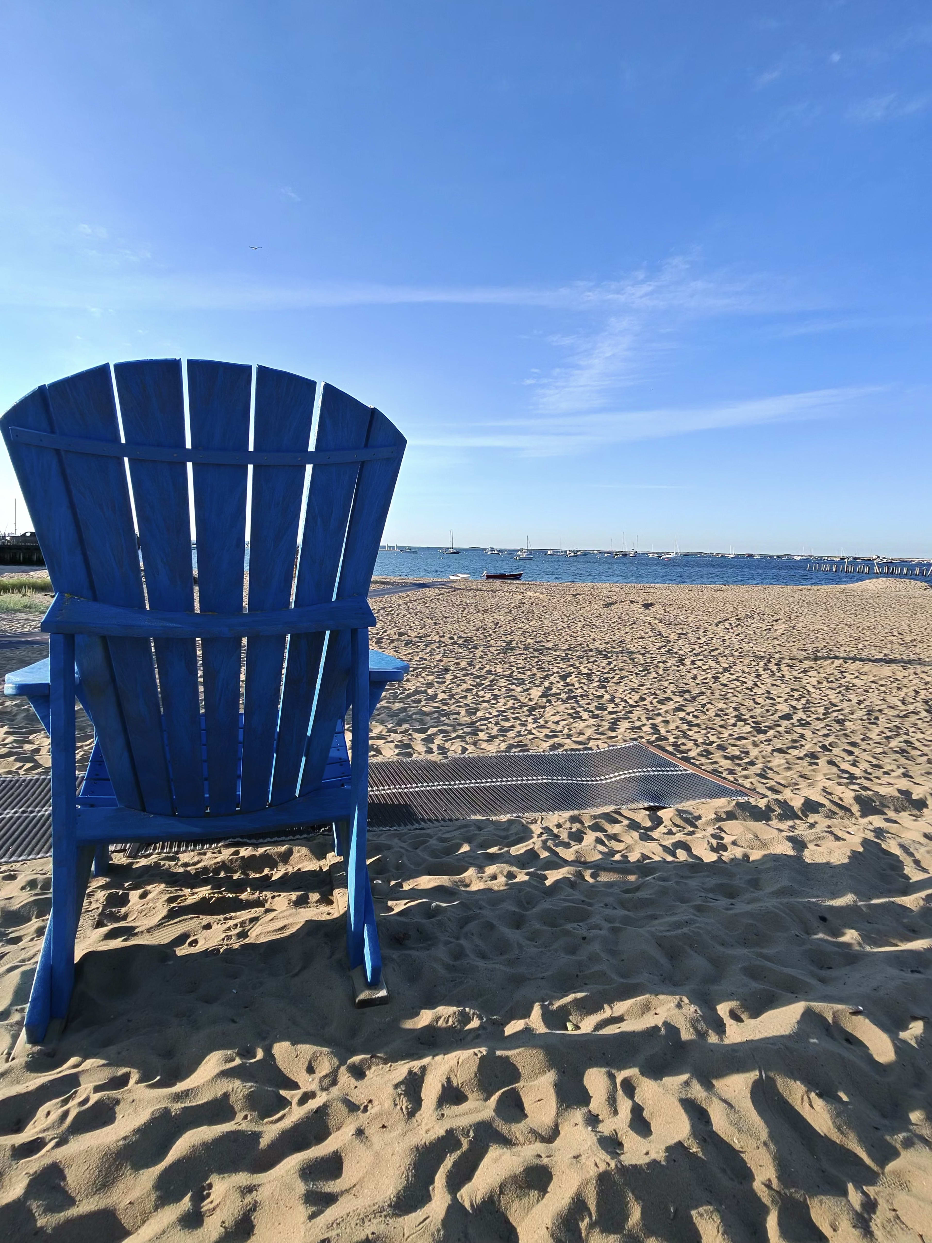 Polar Plunges on Cape Cod: The New Year's Day Tradition