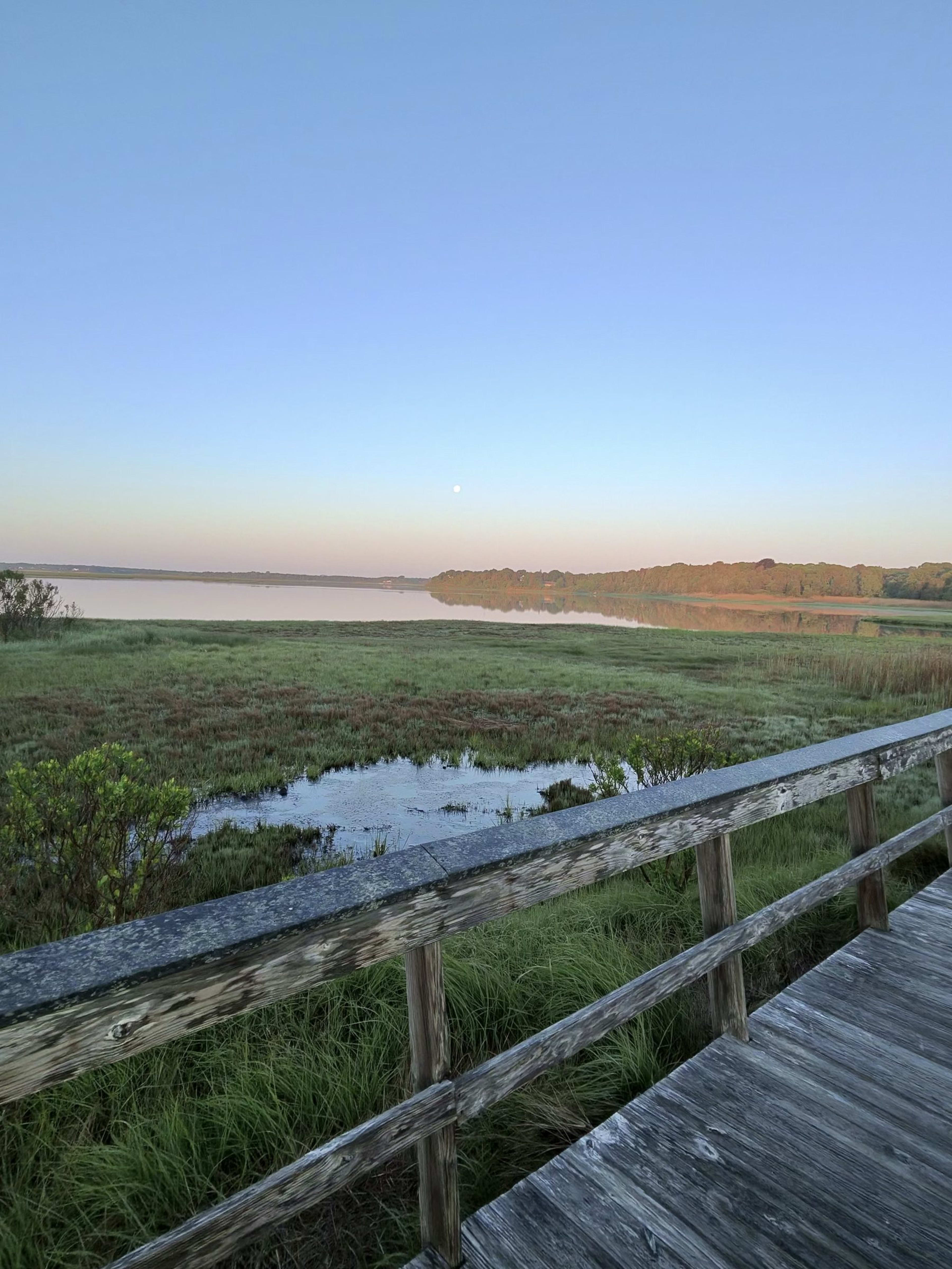 Easy Hikes and Nature Walks on Cape Cod with Kids