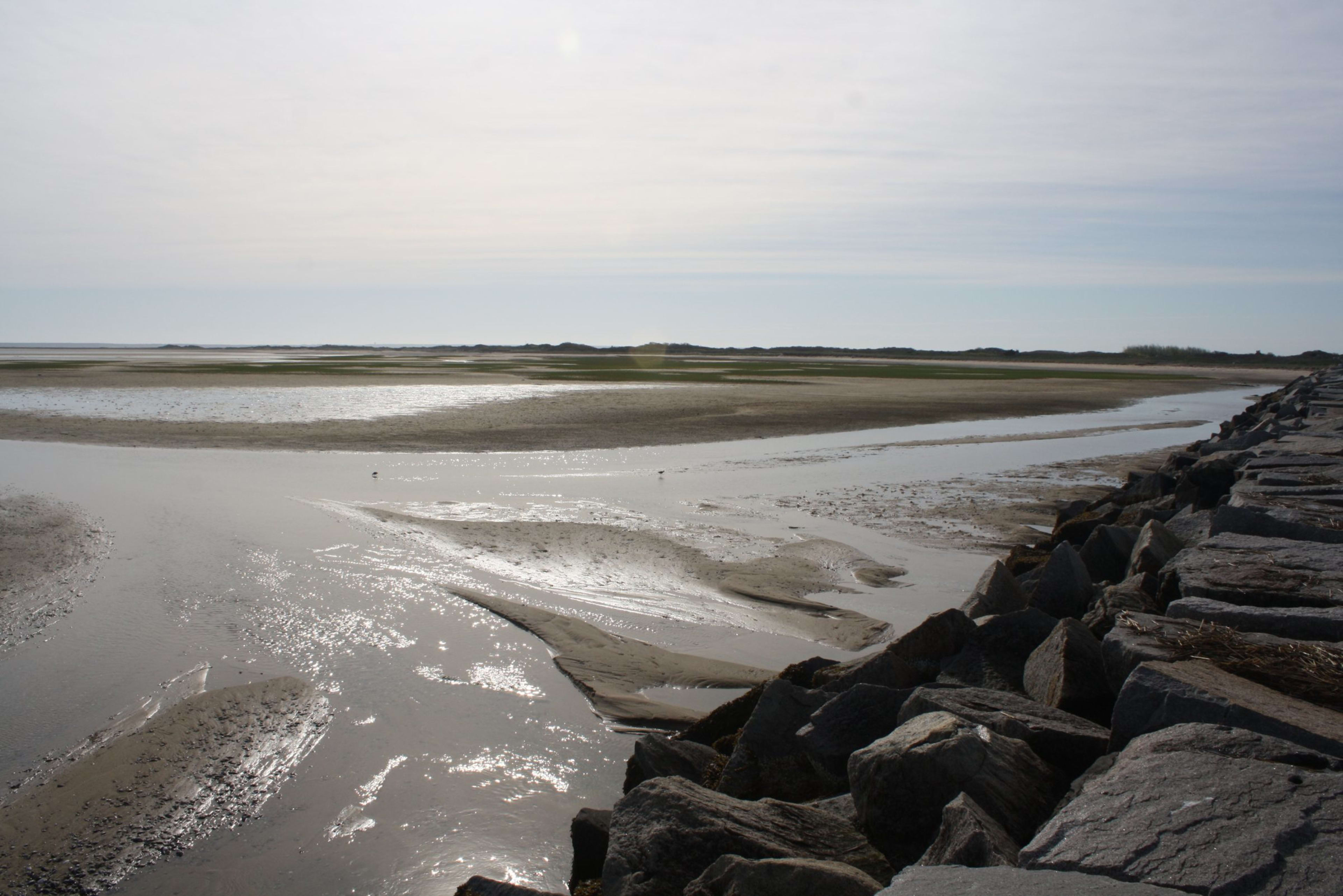 Best Beaches on Cape Cod for Young Kids (Ages 4–9)
