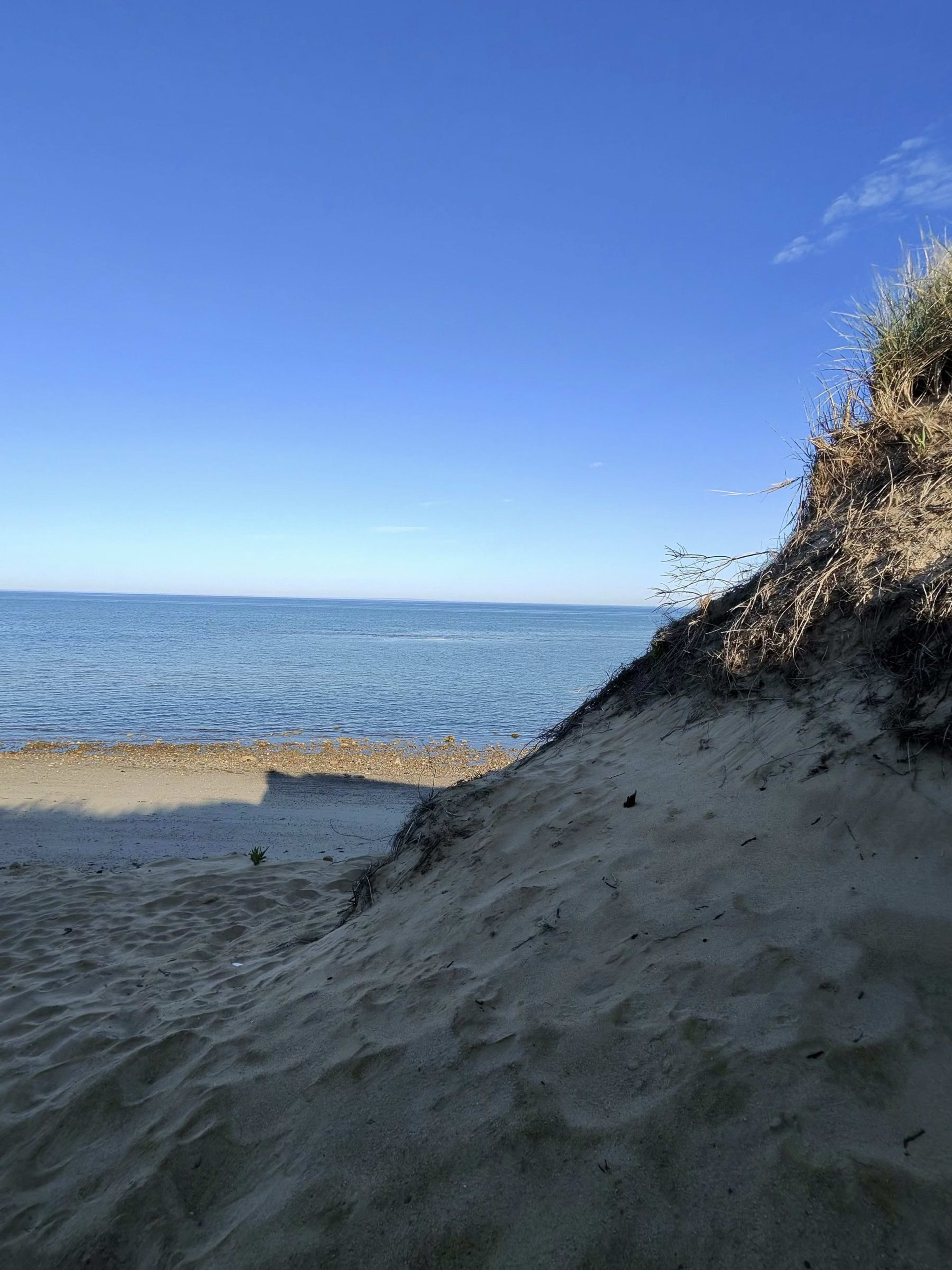 Best Beaches on Cape Cod for Small Kids