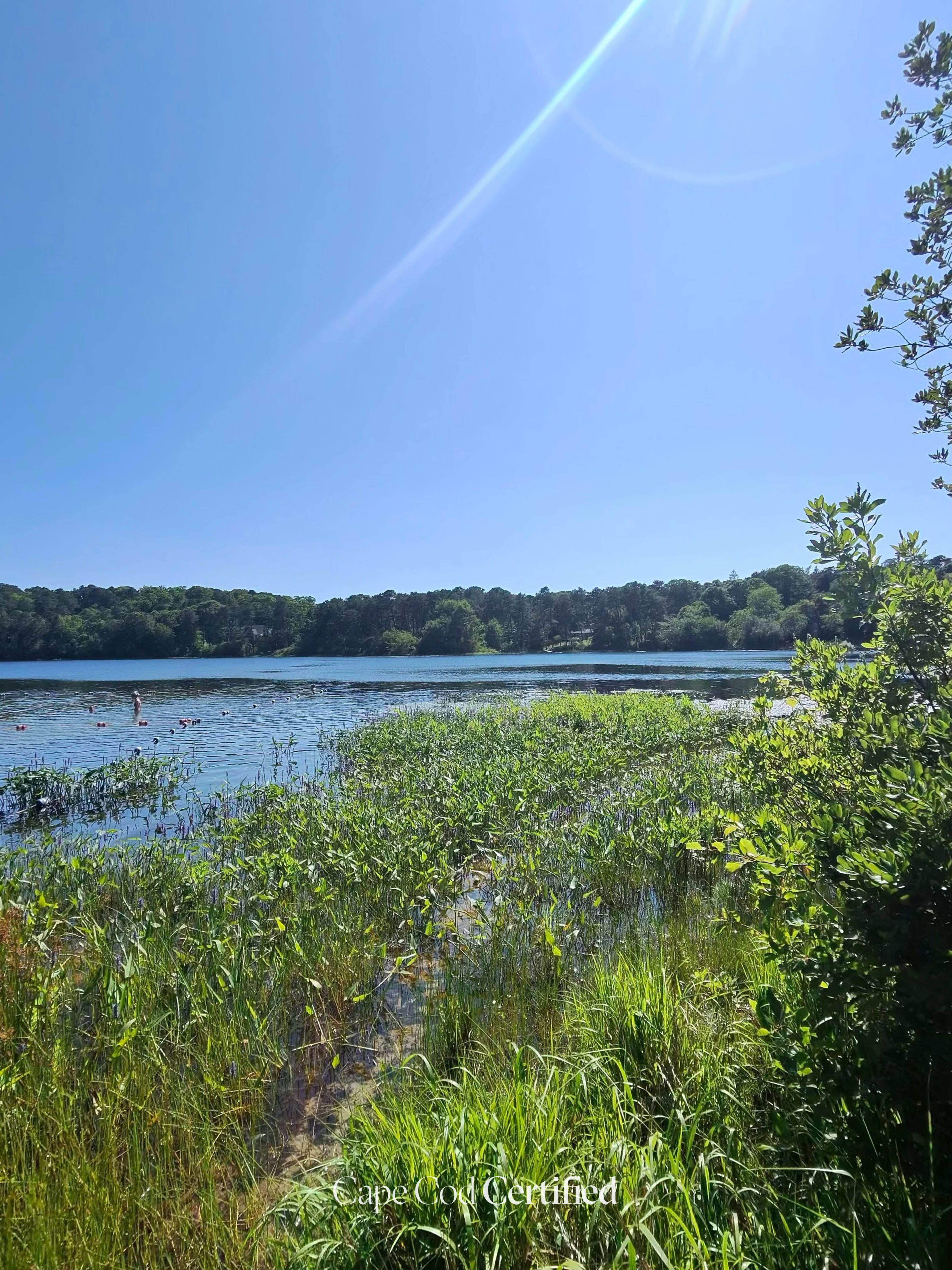 Pilgrim Lake, Orleans