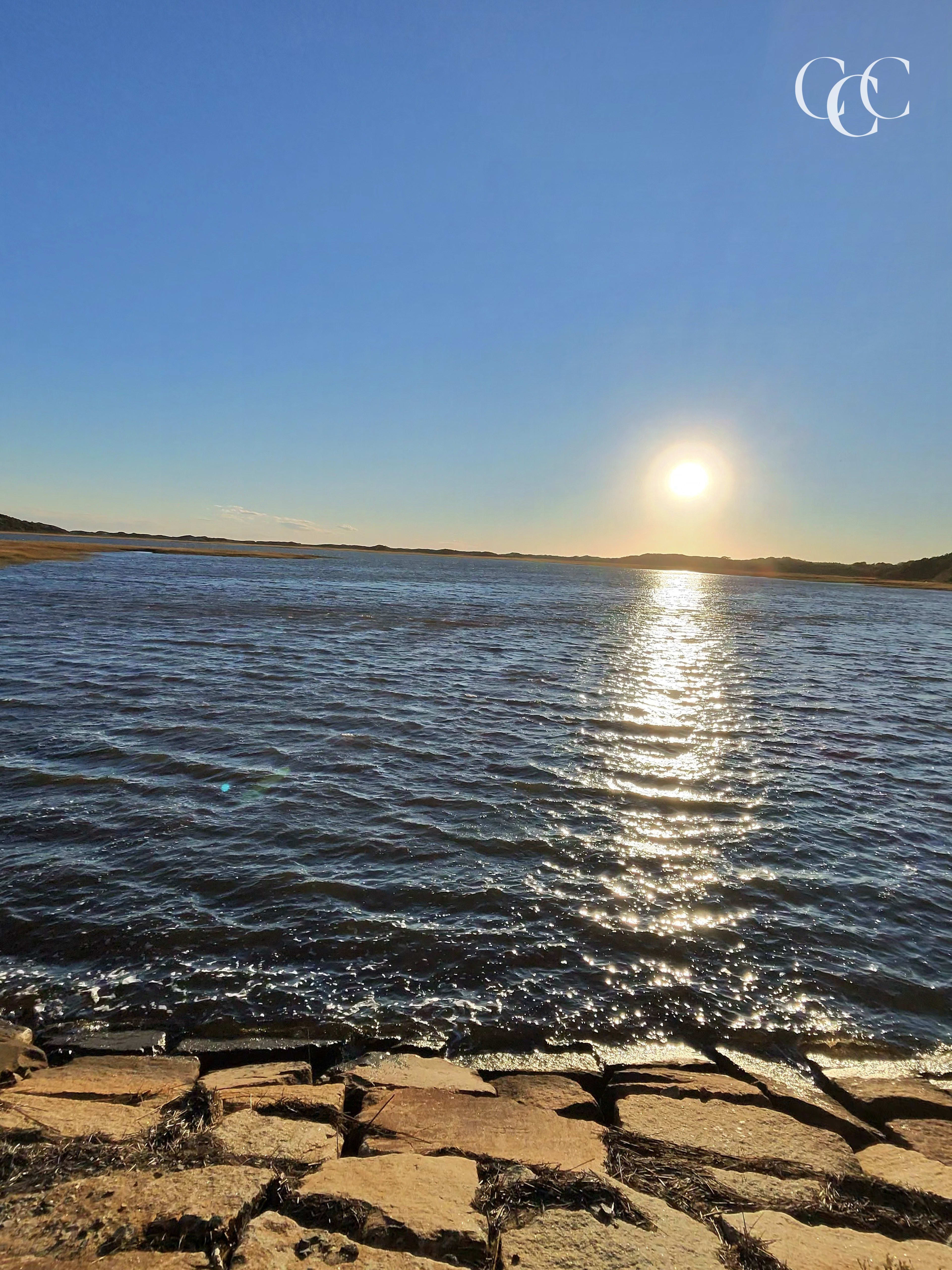 Herring River Marsh Walk, Wellfleet