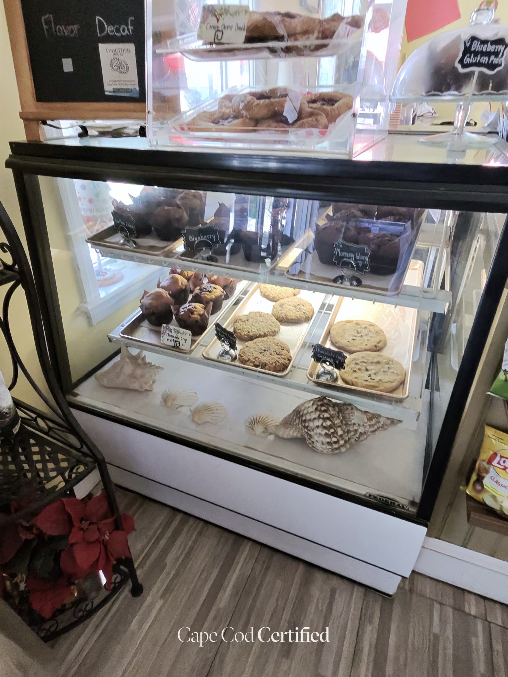 Morning Glory Cafe, Marstons Mills: photo 1 of 4