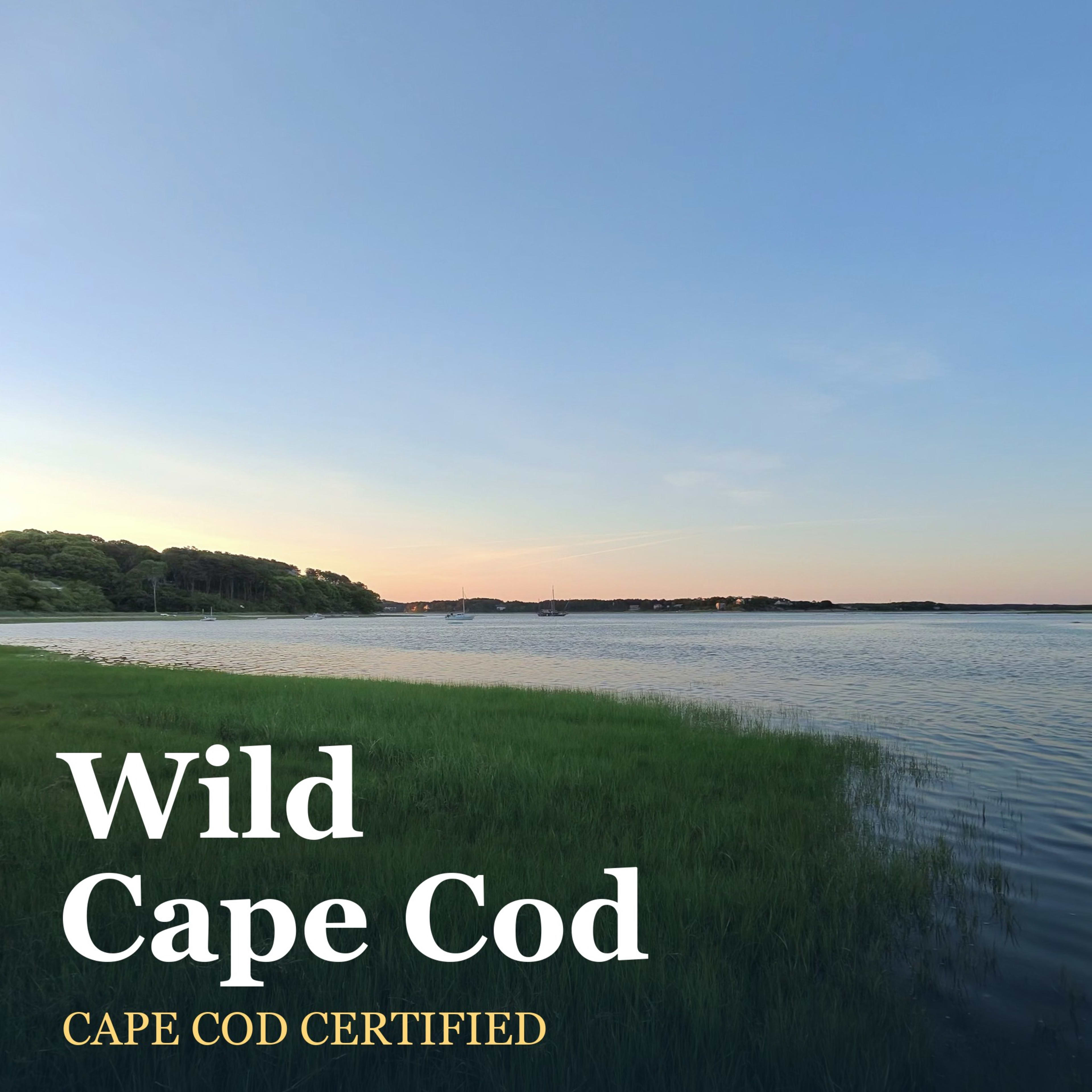 Wild Cape Cod cover