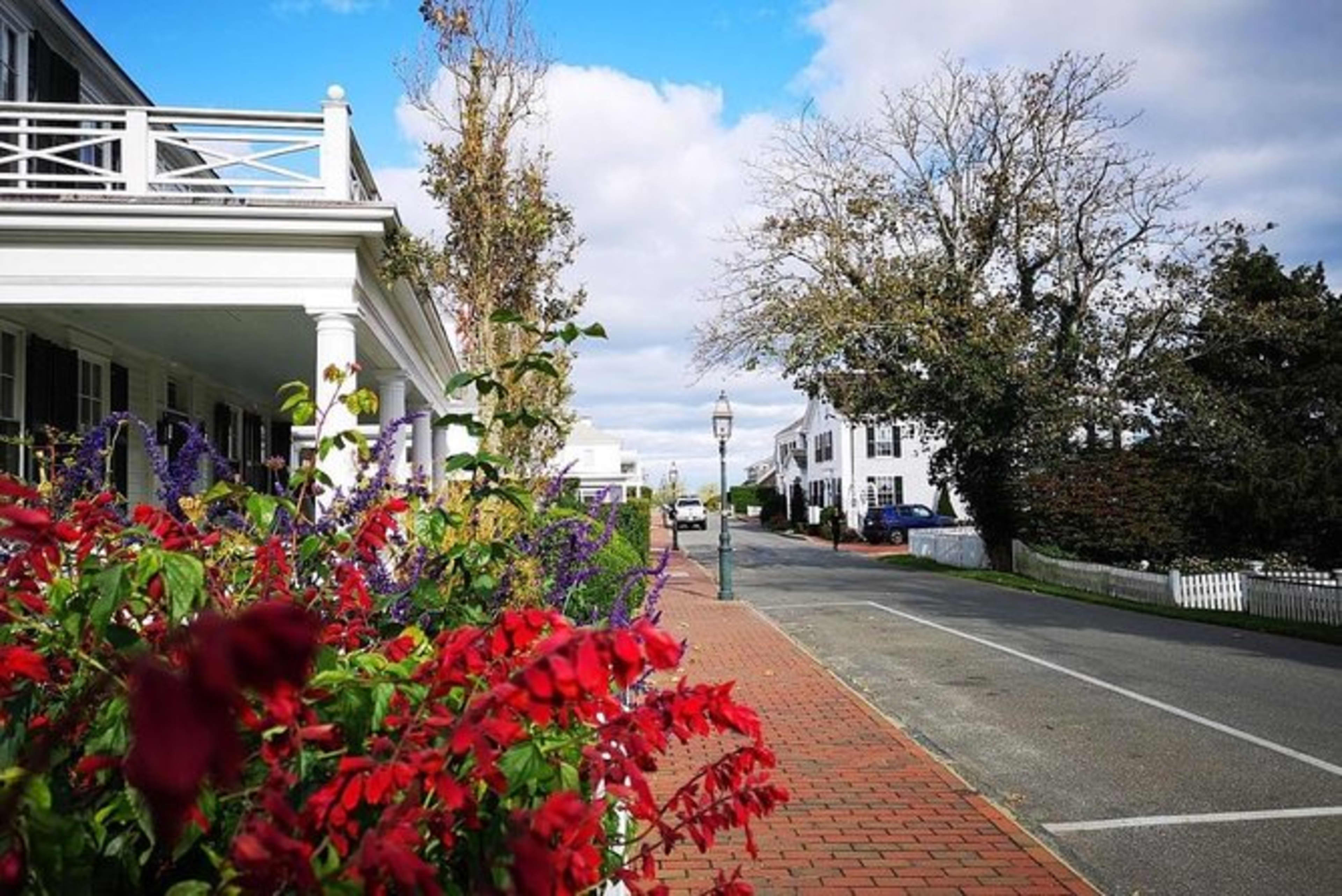 Martha’s Vineyard Island Tour
