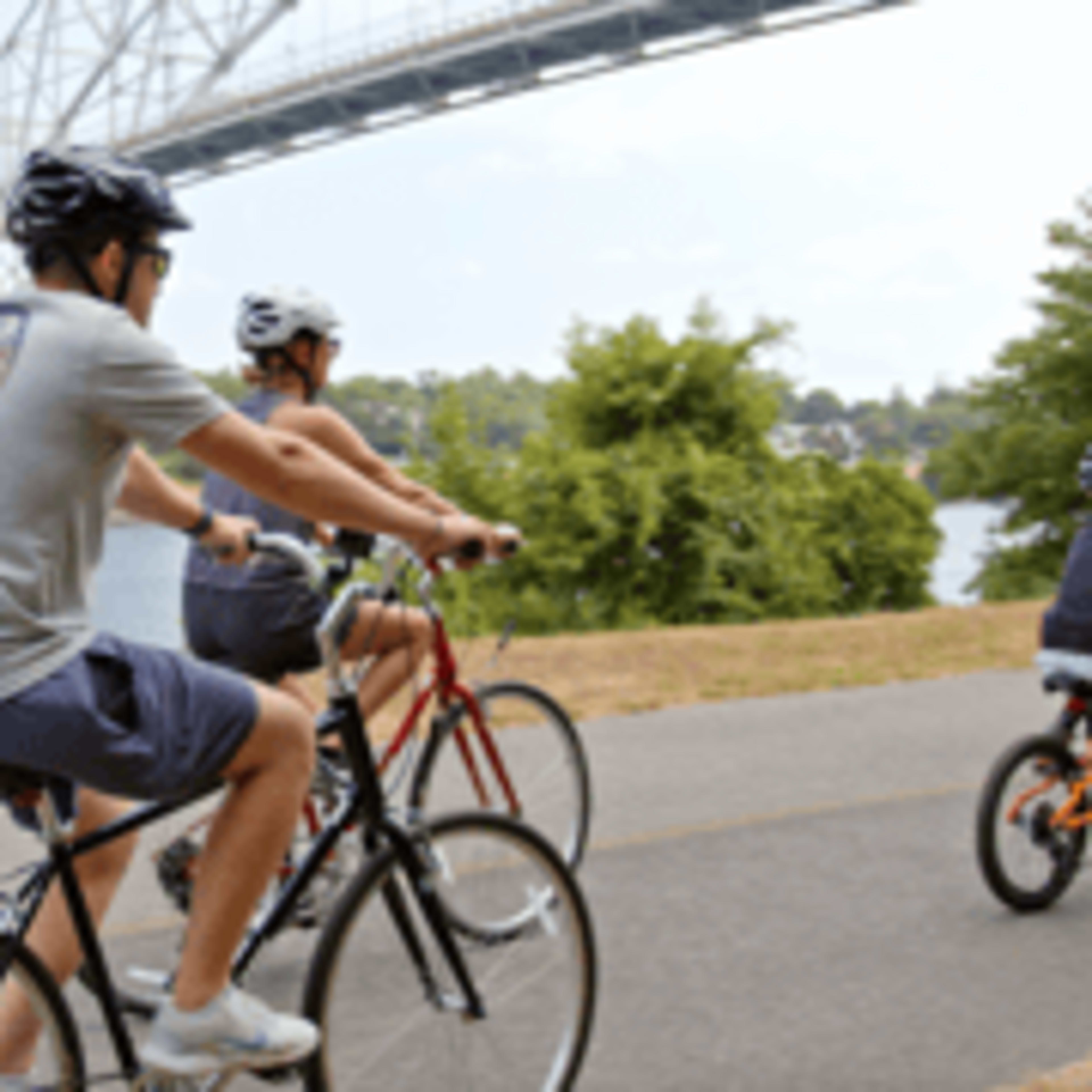 Cape Cod Canal: Bike Rental