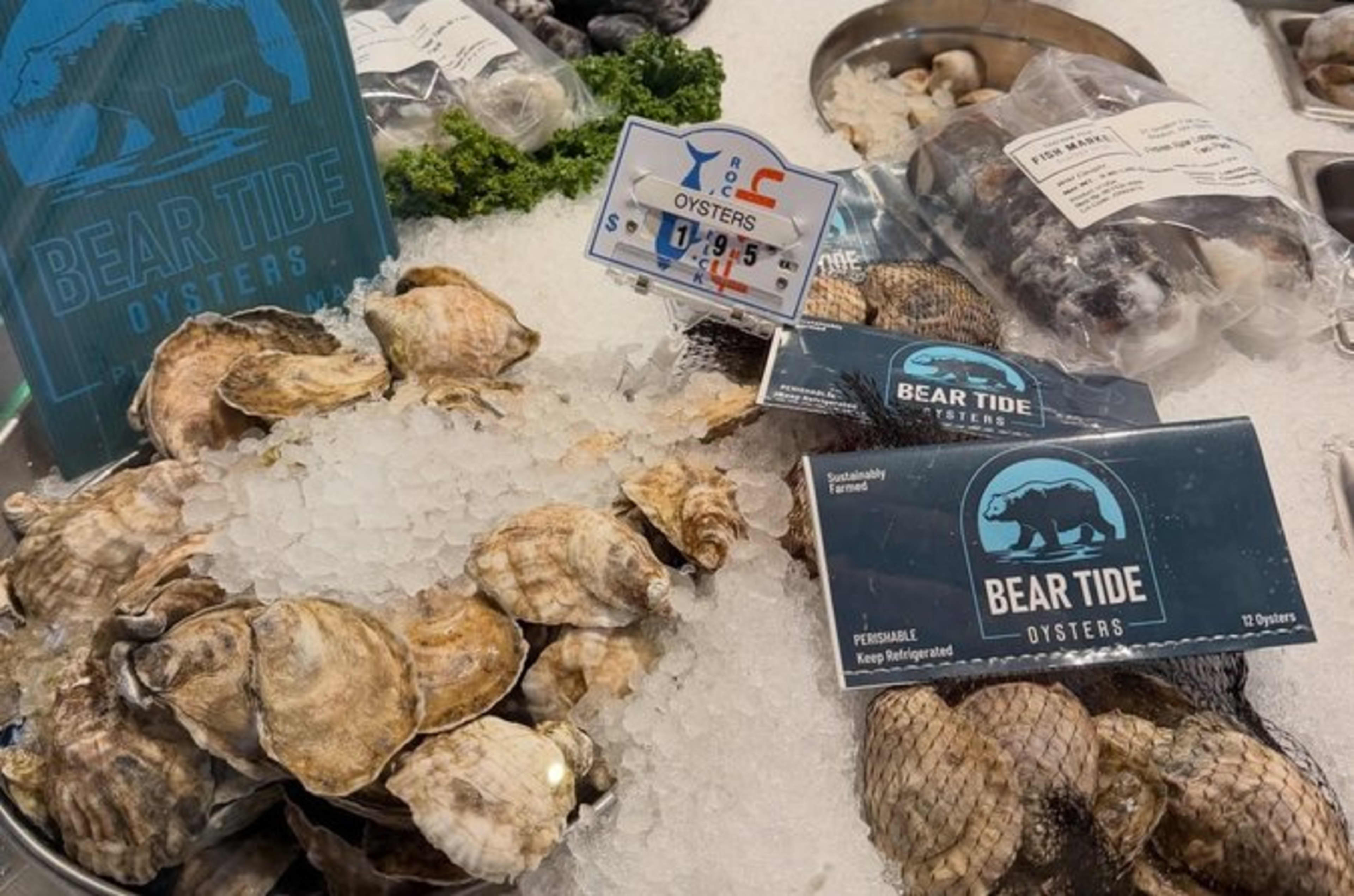 Bear Tide Oyster Tasting Cruise