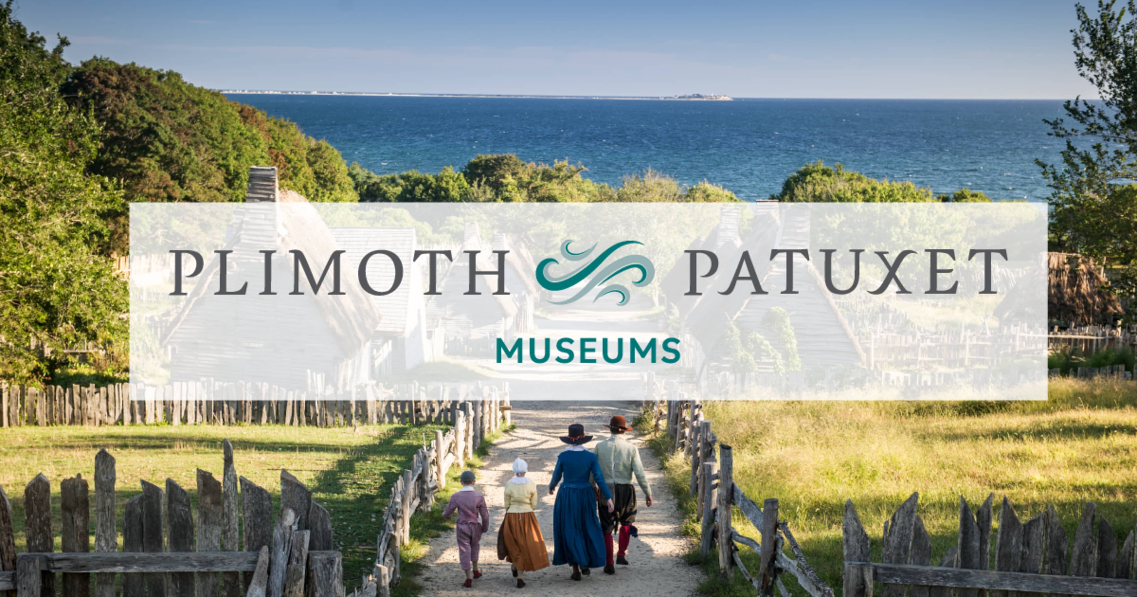 Plymouth: Whale Watching Cruise
