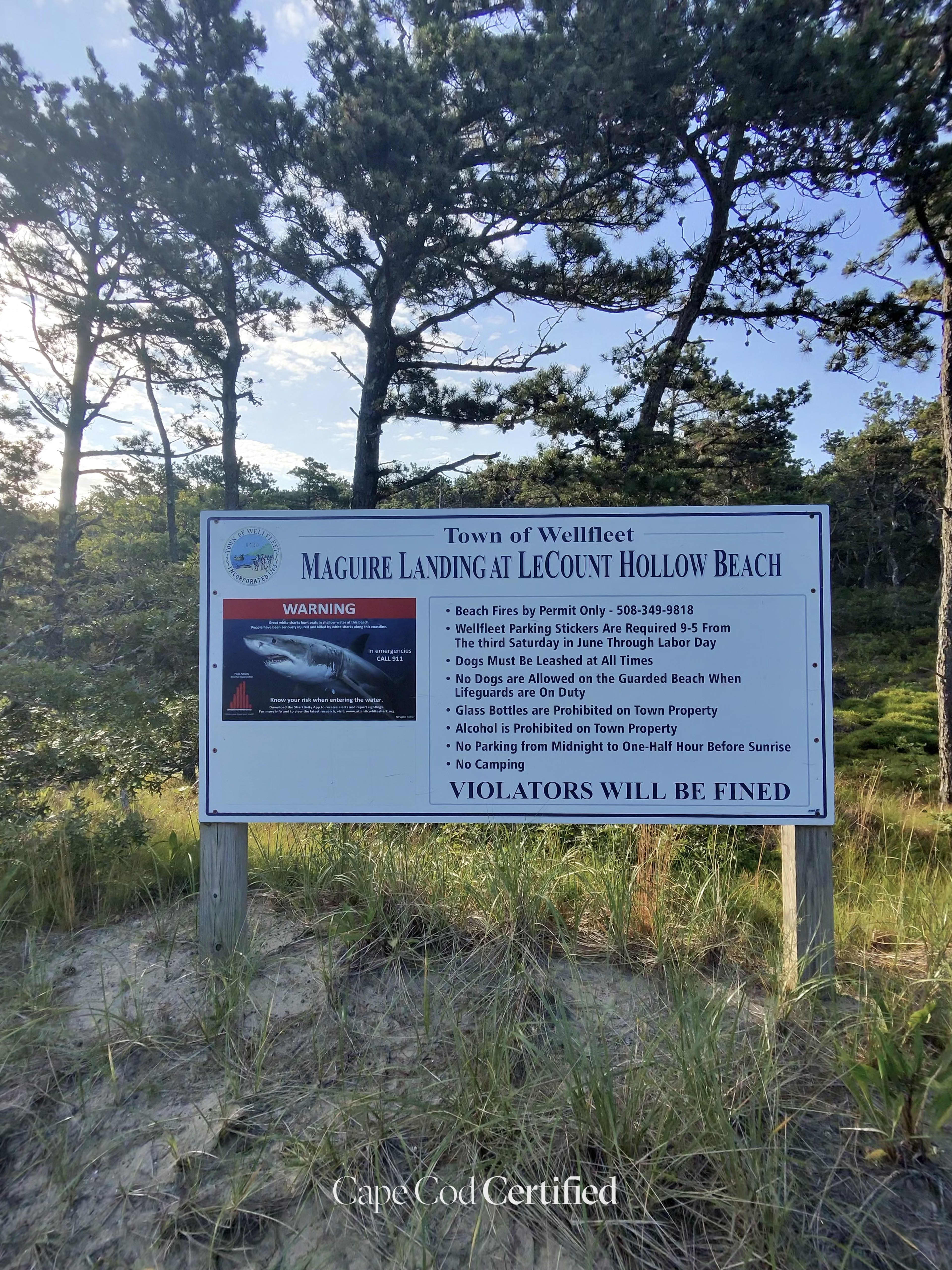 LeCount Hollow Beach (Maguire Landing), Wellfleet