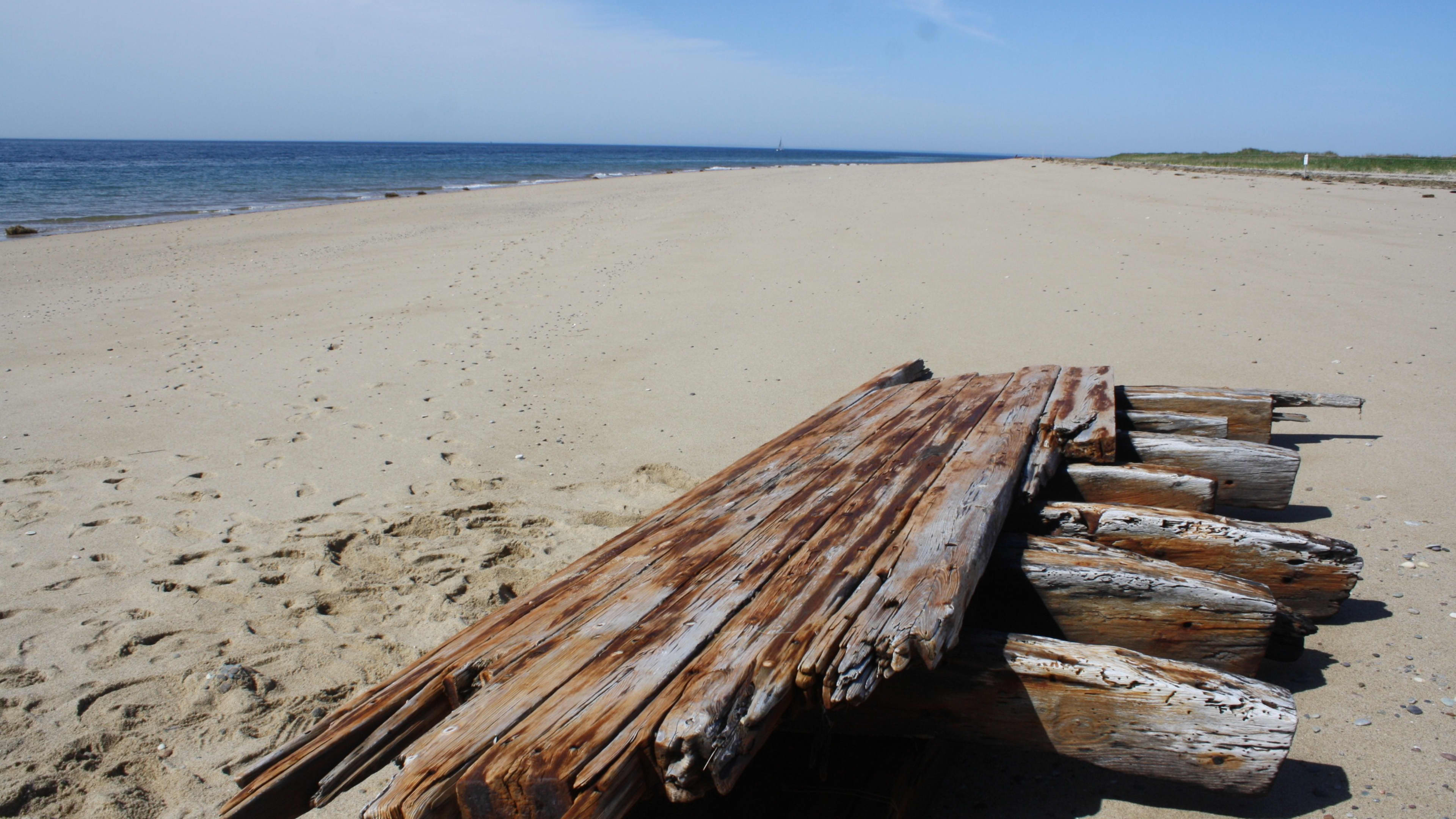 Outer Cape landscape