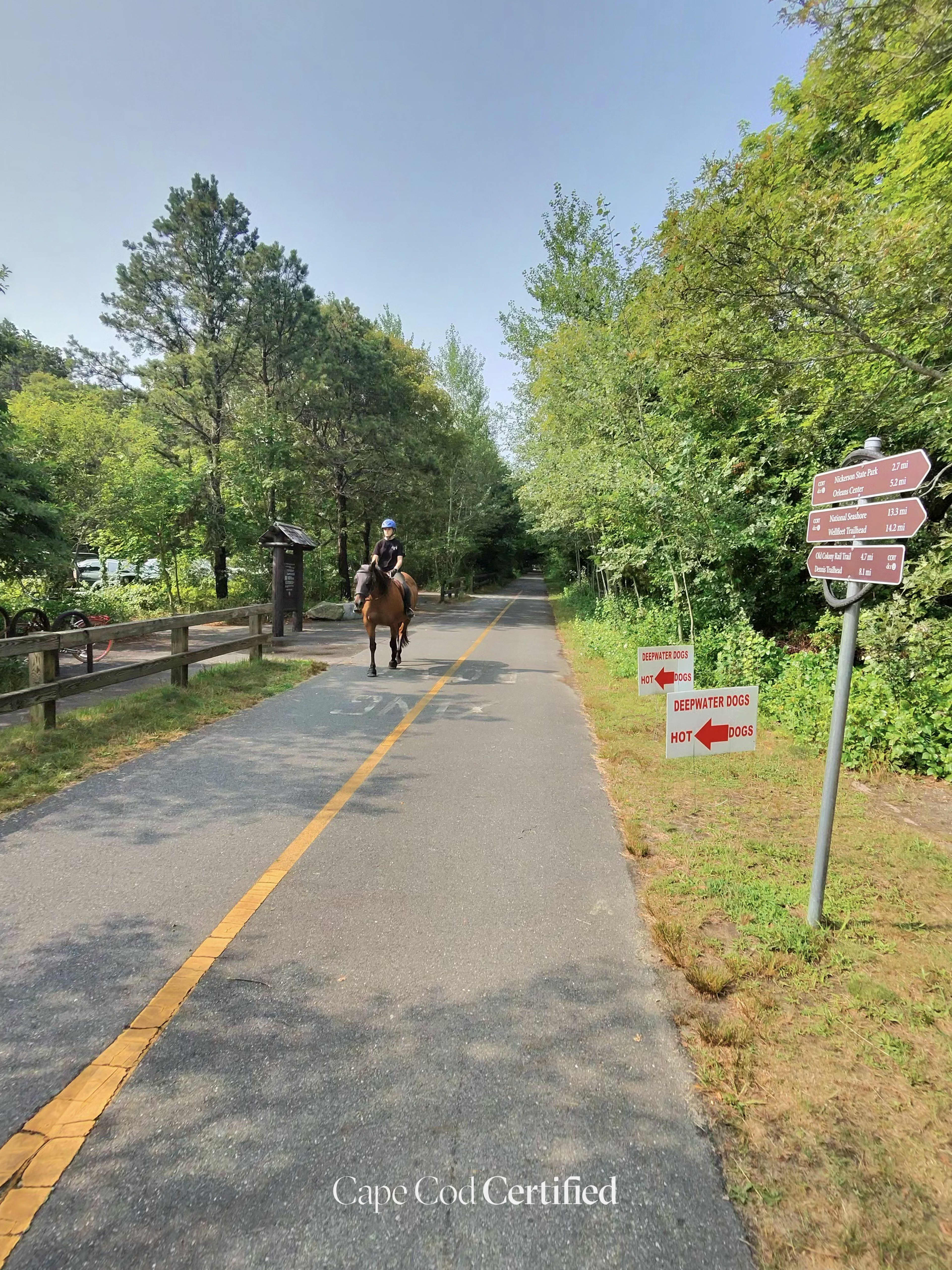 Cape Cod Rail Trail (Brewster), Brewster