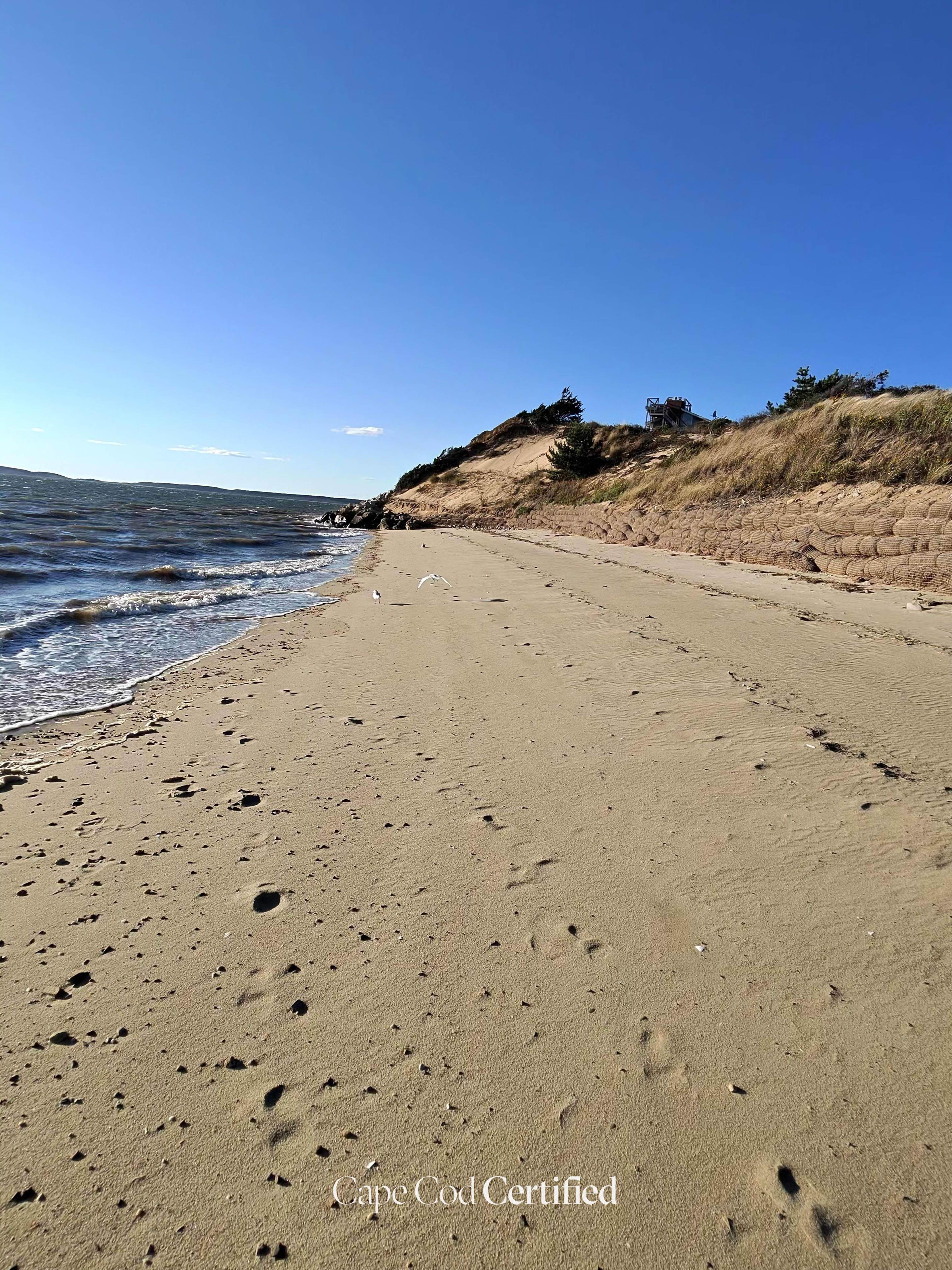 Lieutenant Island Beach (Private), Wellfleet