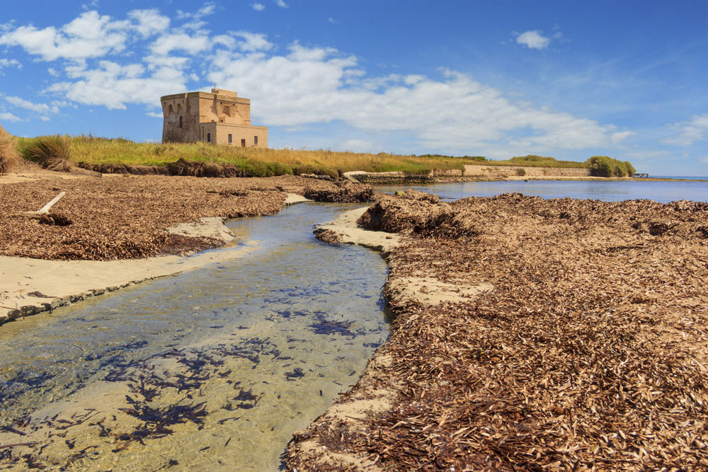 alla-scoperta-di-torre-guaceto-fiume-casa-vacanze-ostuni-palazzo-rodio