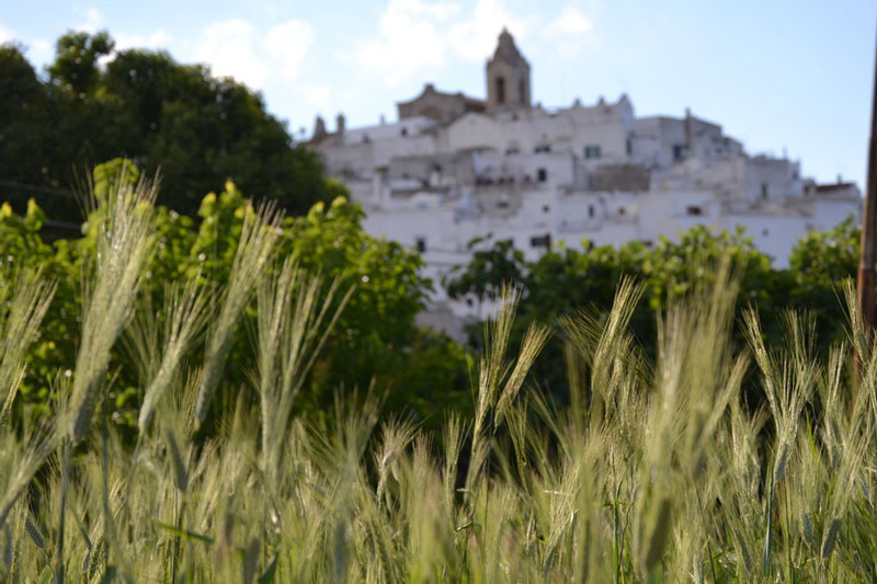 ostuni-incanto-della-citta-bianca-campi-casa-vacanze-ostuni-palazzo-rodio