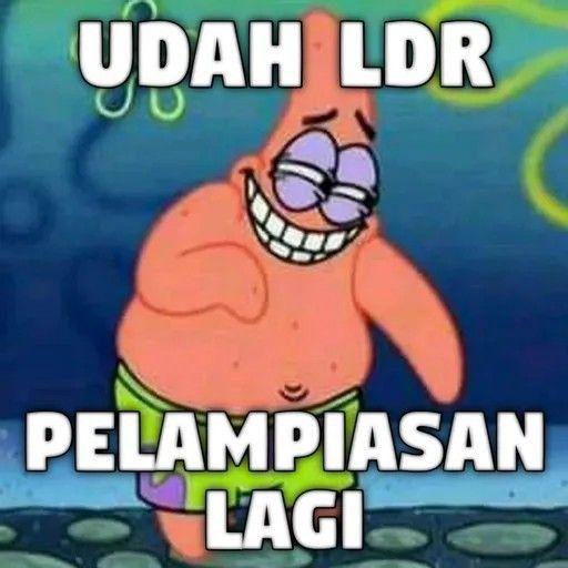 KAPTEN33