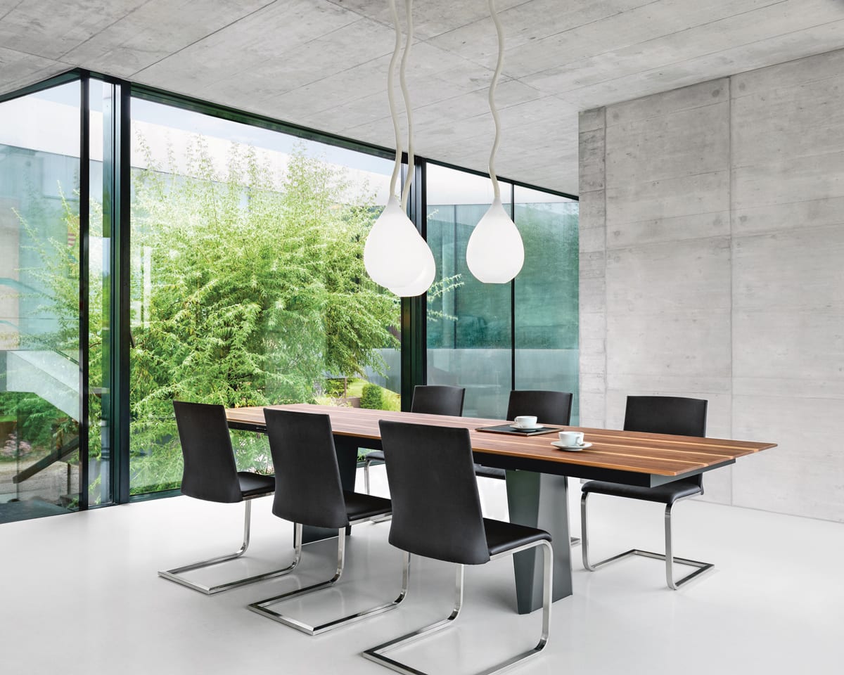 Tableau-Bela-8
