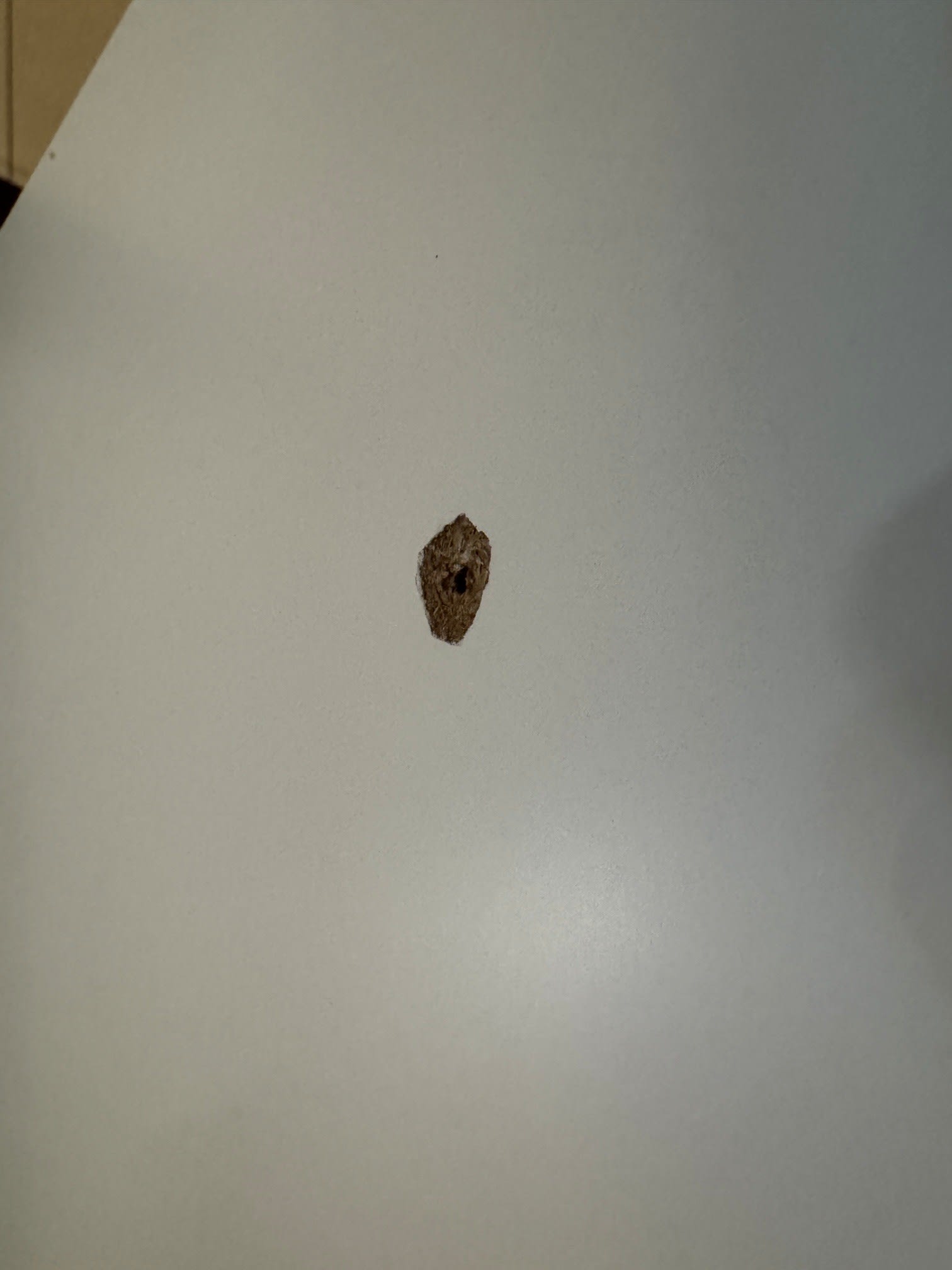 Ein Morassutti Schwebetürenschrank „Armadi“ in Braun, von oben vor einem schlichten weißen Hintergrund fotografiert. Ein Morassutti Schwebetürenschrank „Armadi“ in Braun, von oben vor einem schlichten weißen Hintergrund fotografiert.