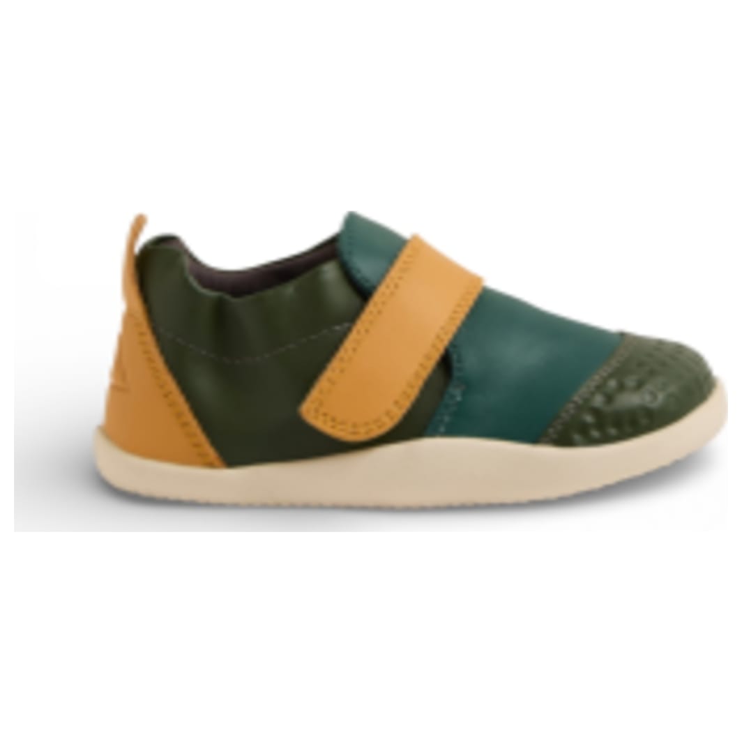 bronze green-rainforest