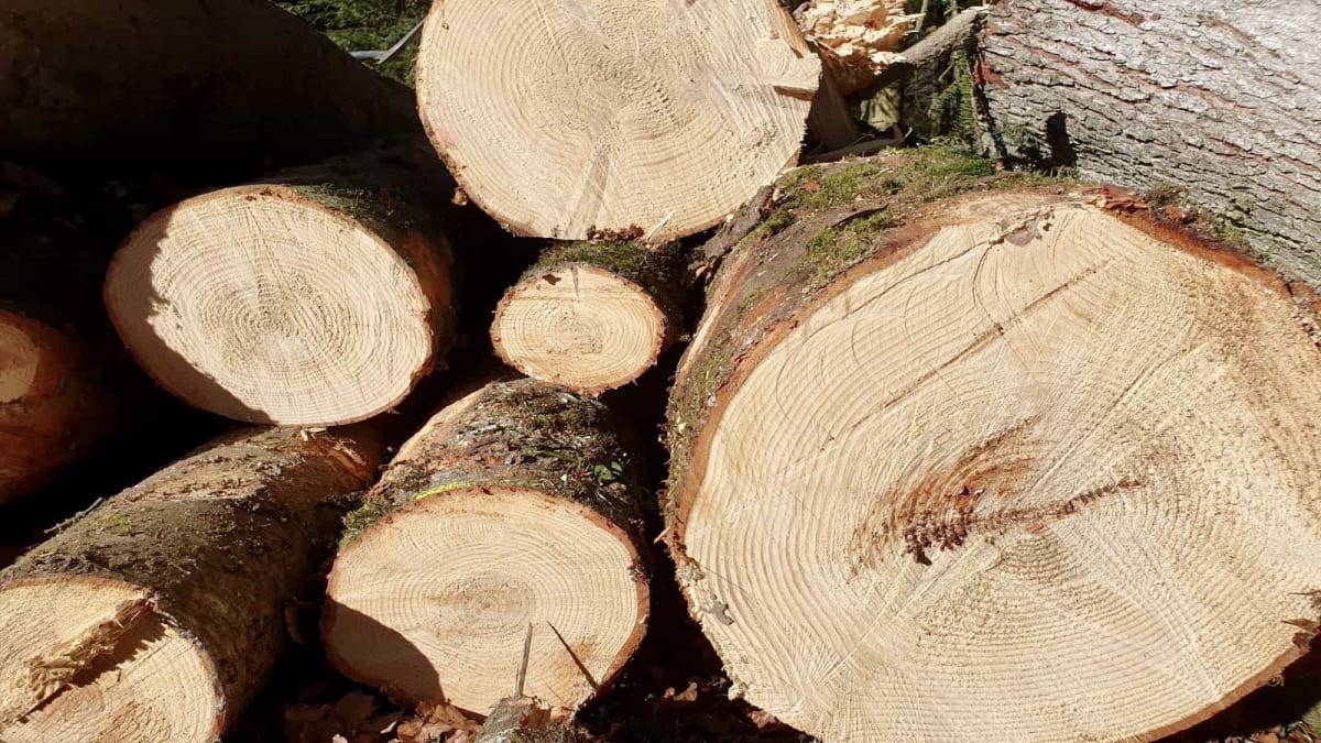 Holz Emmental Egggraben