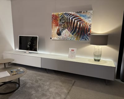 Moderne Wohnzimmereinrichtung mit Fernseher, Zebragemälde, Lampe und runden Couchtischen auf einem grauen Teppich mit Büromöbeln mit 3 Boxenfenstern.