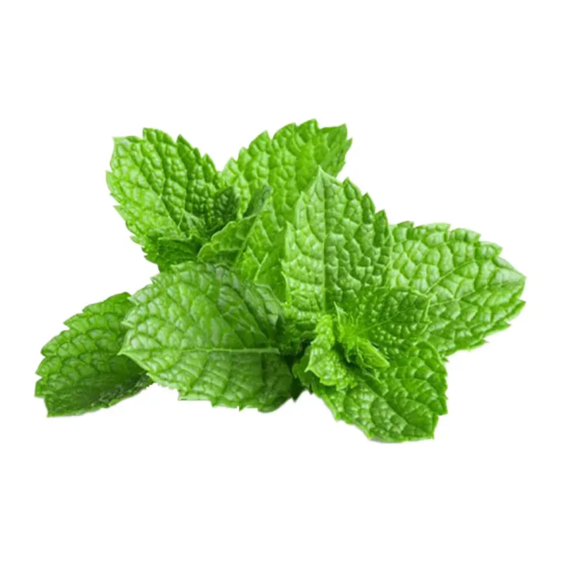 Molfar - Wild Mint (Spirit - 100g)