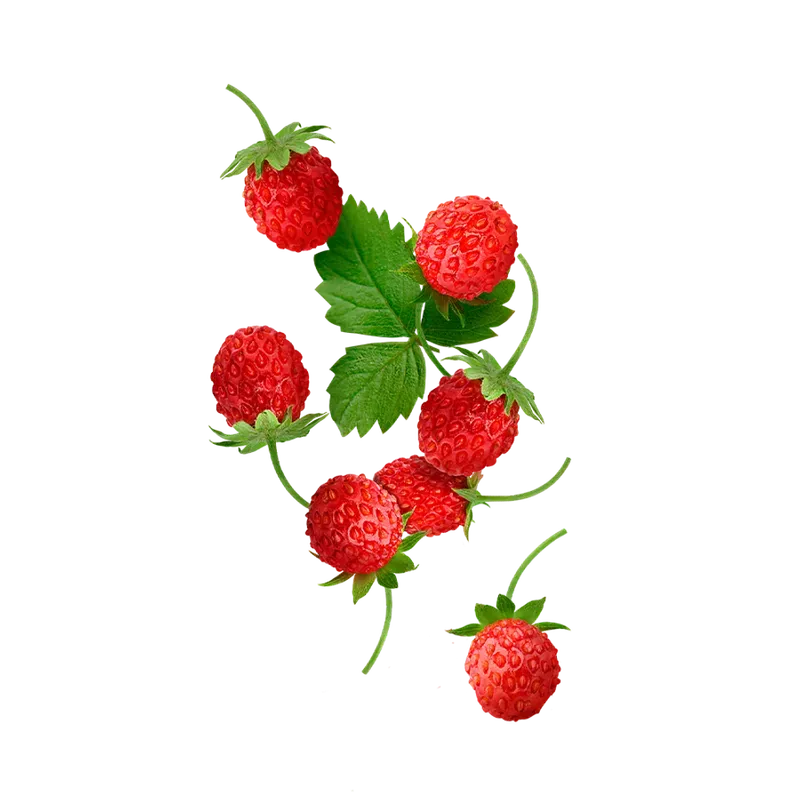 Starline - Wild Strawberry (250g)