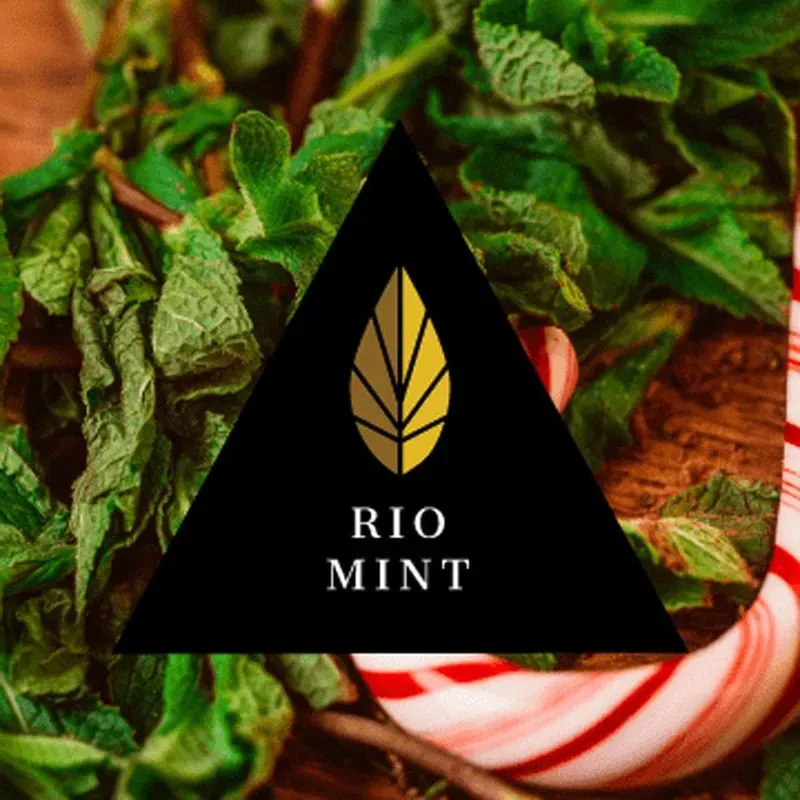 Azure - Rio Mint (Black Line - 100g)