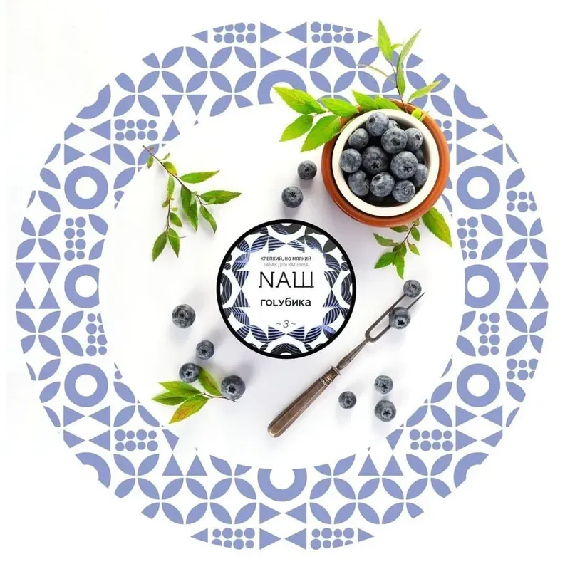 Nash - Blueberry (100g)