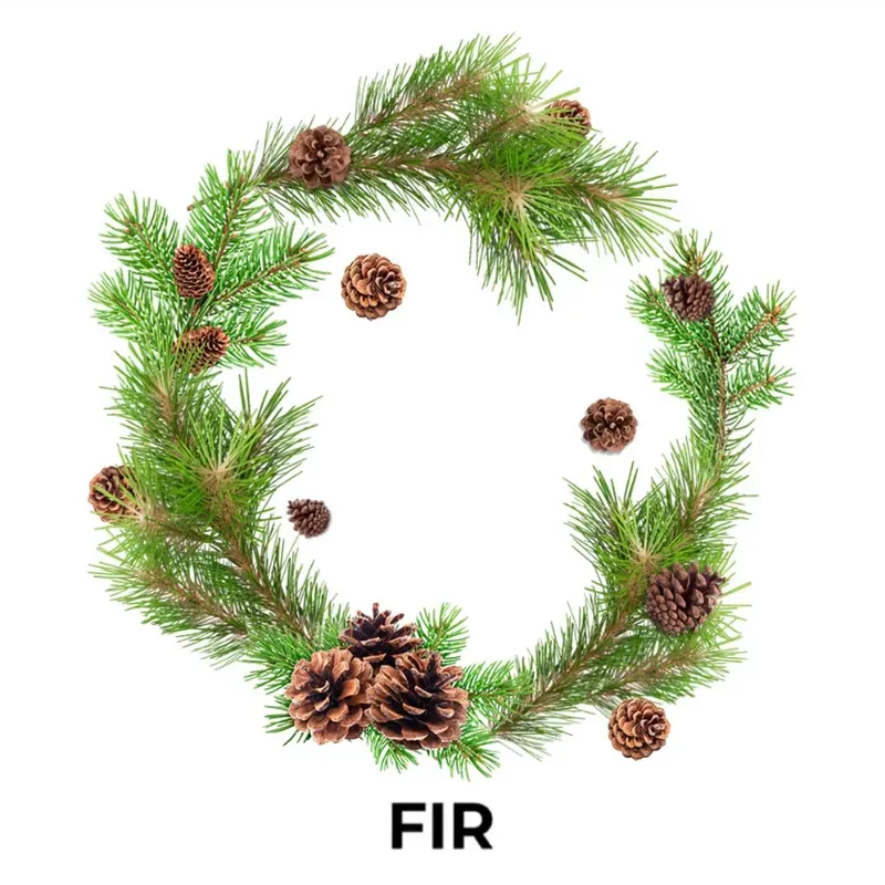 Element - Fir (Water - 200g)
