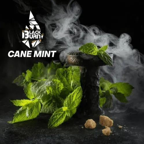 Black Burn - Cane Mint (200g)