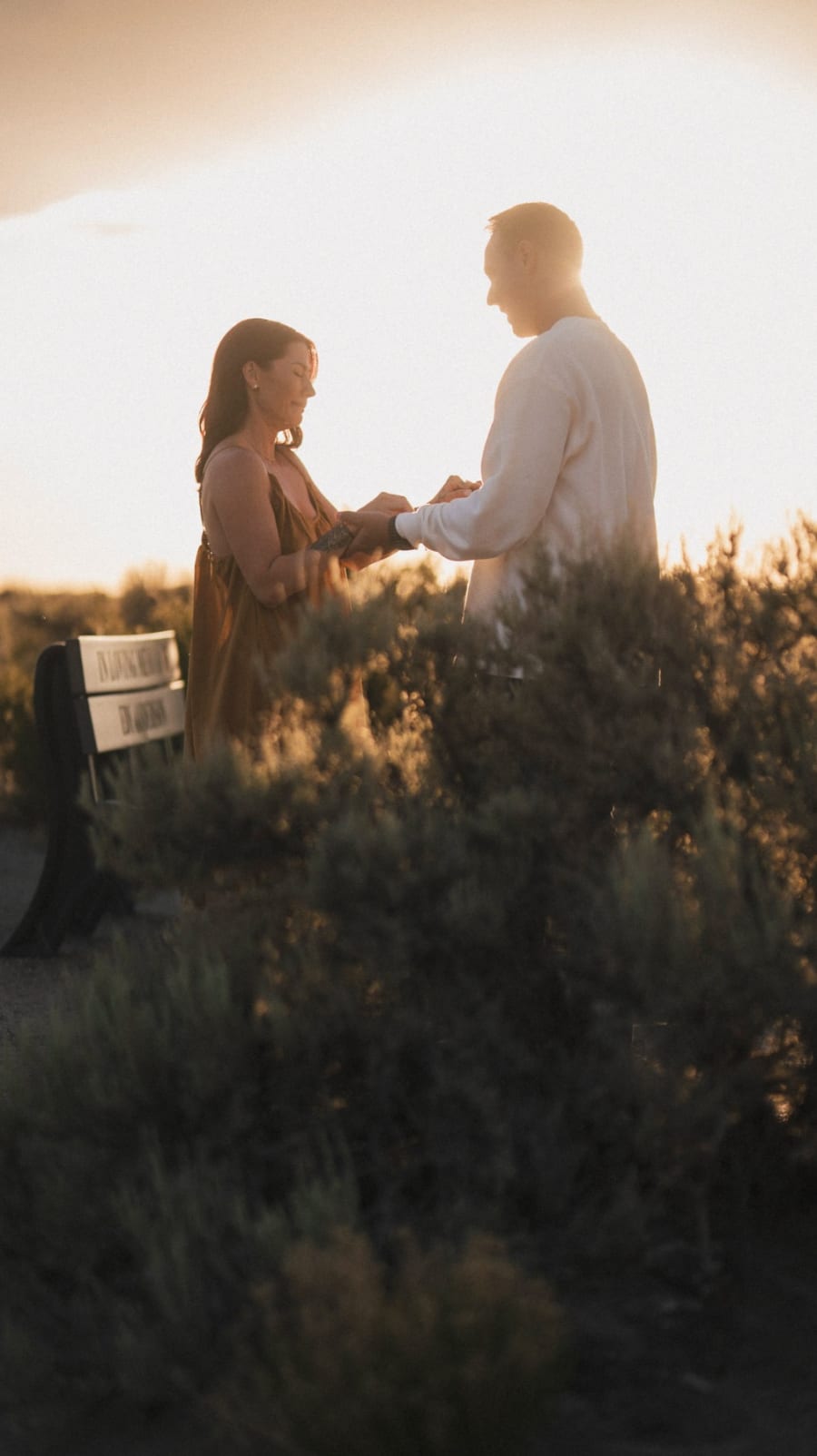 Proposal at sunset among the chamisa