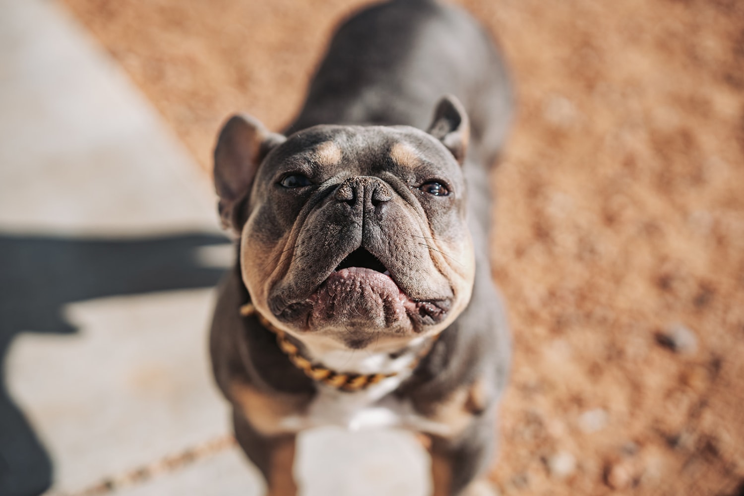 Intimate Wedding Photographer — photographed by Addason Photography (06)