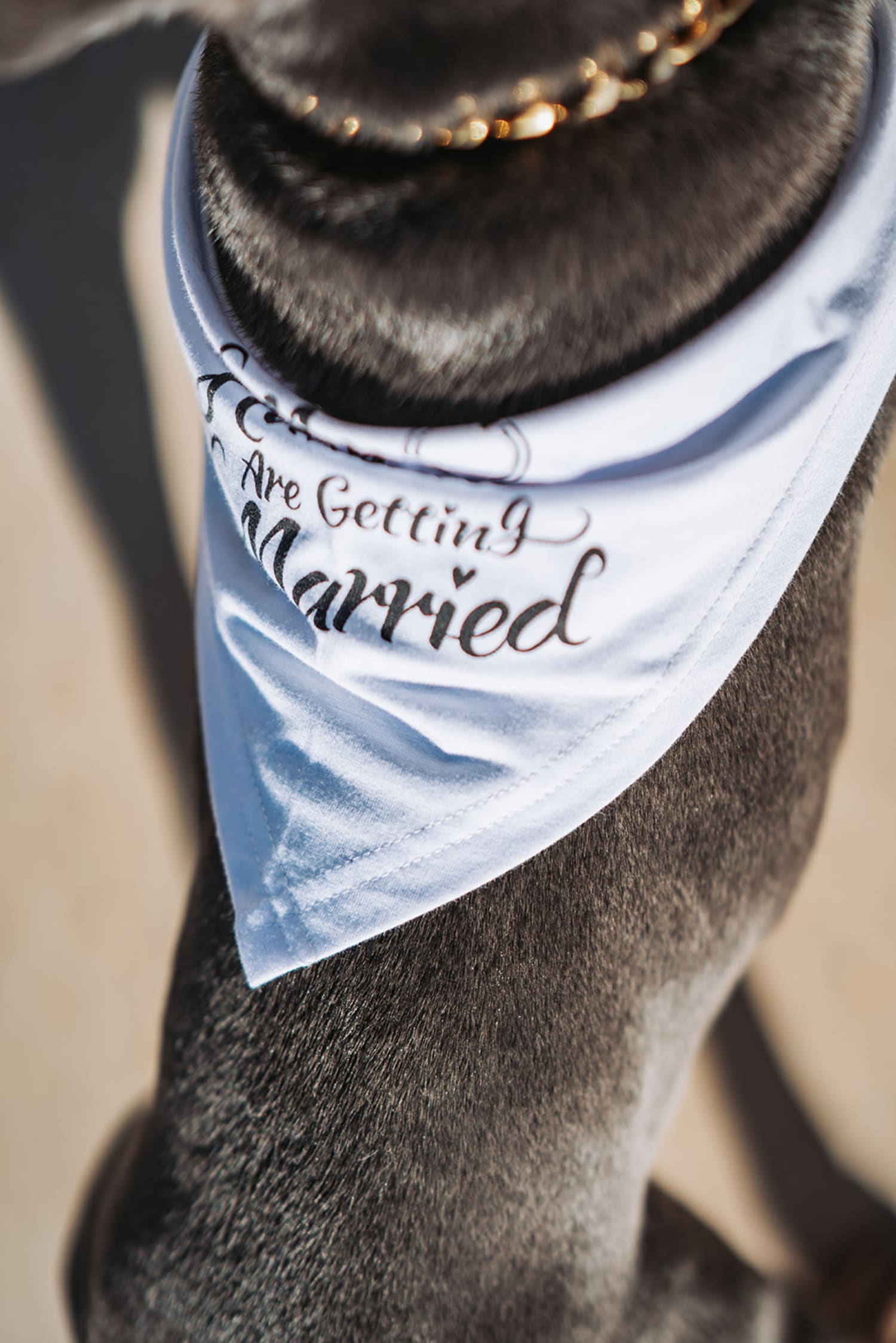 Intimate Wedding Photographer — photographed by Addason Photography (08)