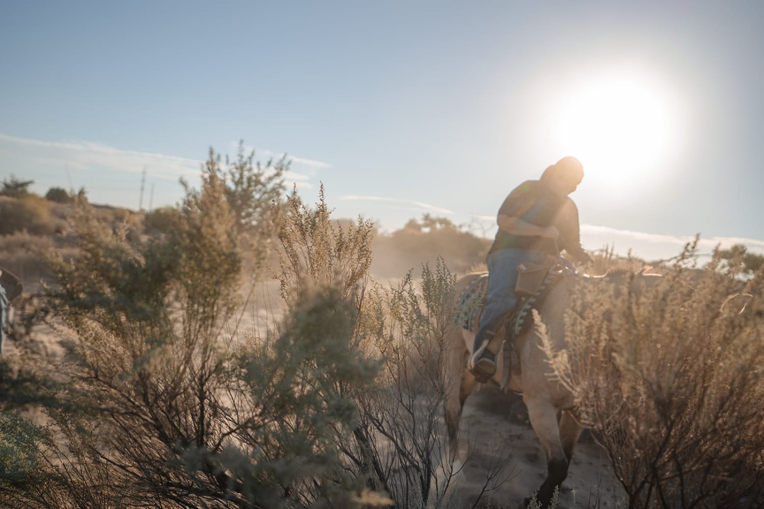 Couple on horseback riding through the New Mexico desert at golden hour