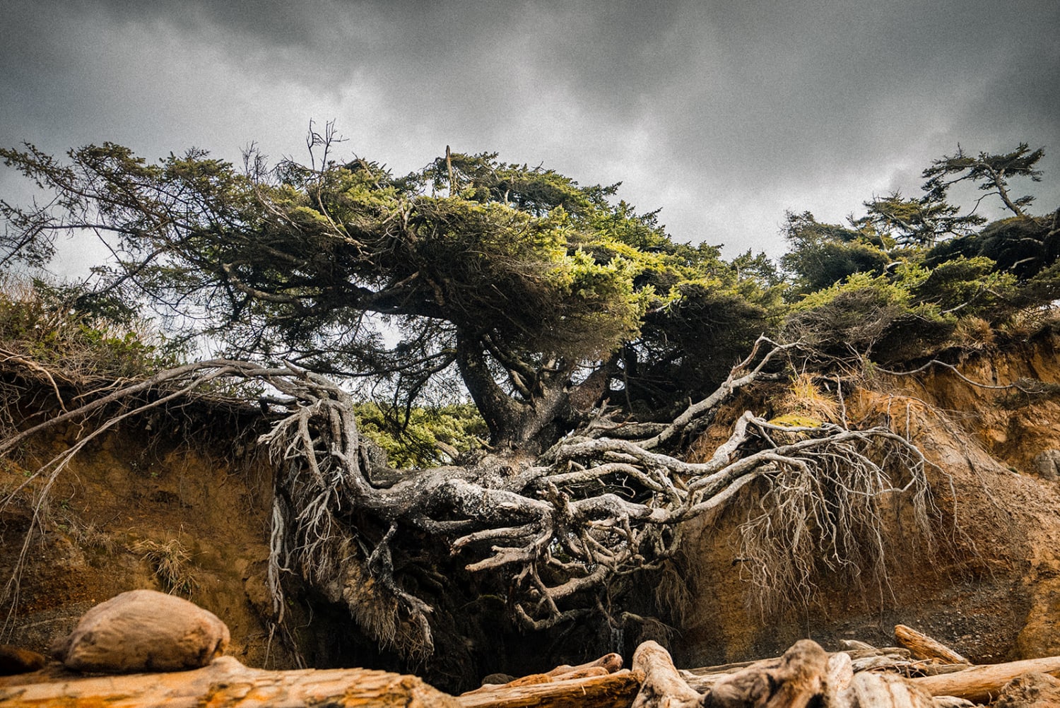 Adventure Elopement Photographer — photographed by Addason Photography (04)