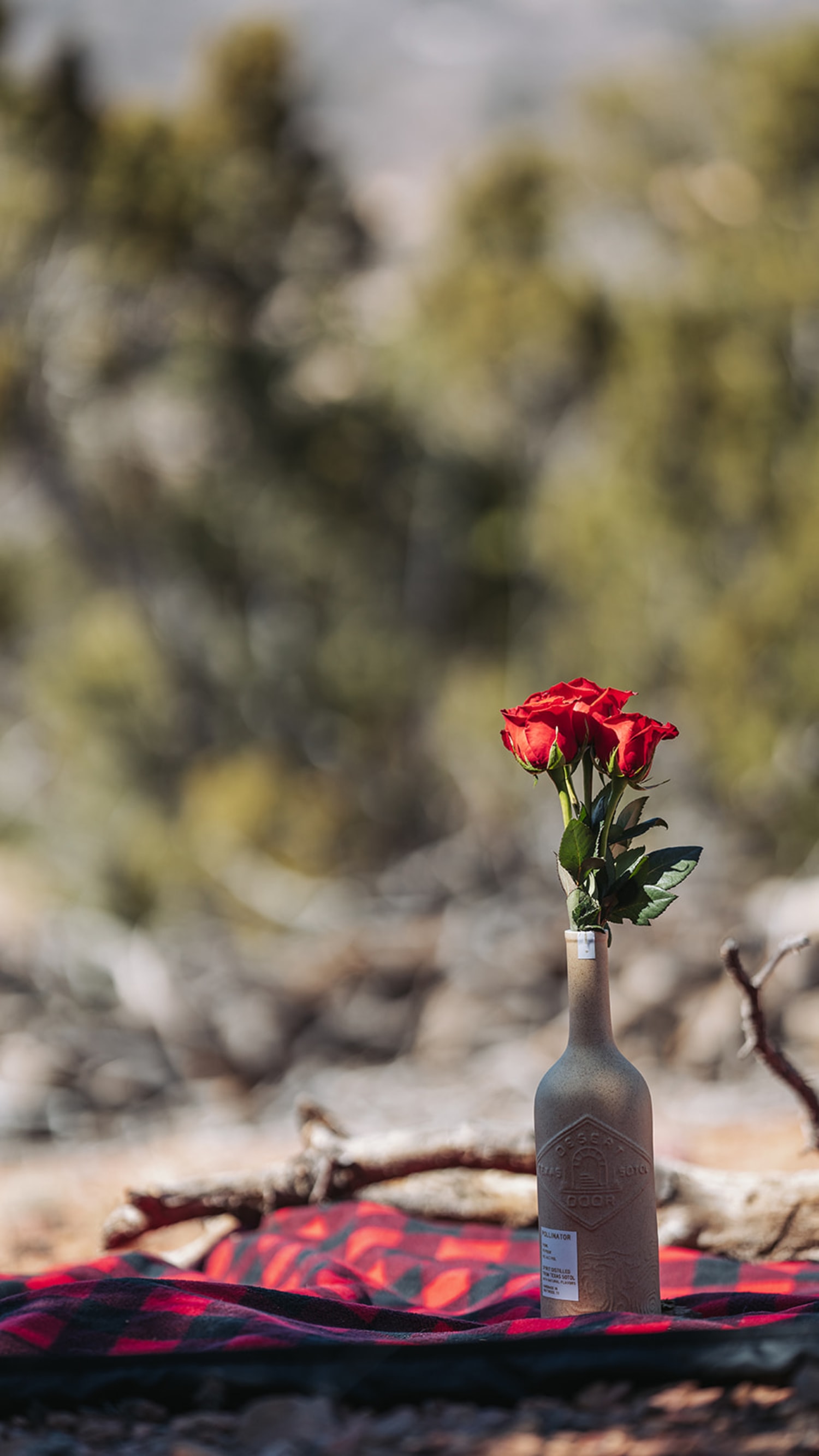 Santa Fe wedding venues photography by Casey Addason Photography
