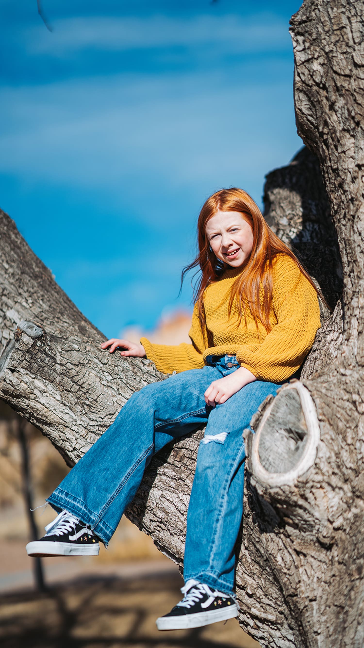 portrait session documents a young woman with striking red hair seated on a weathered tree branch ... — Casey Addason Photography