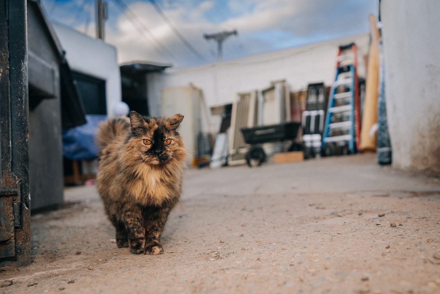 Portrait photography in Santa Fe — Casey Addason Photography