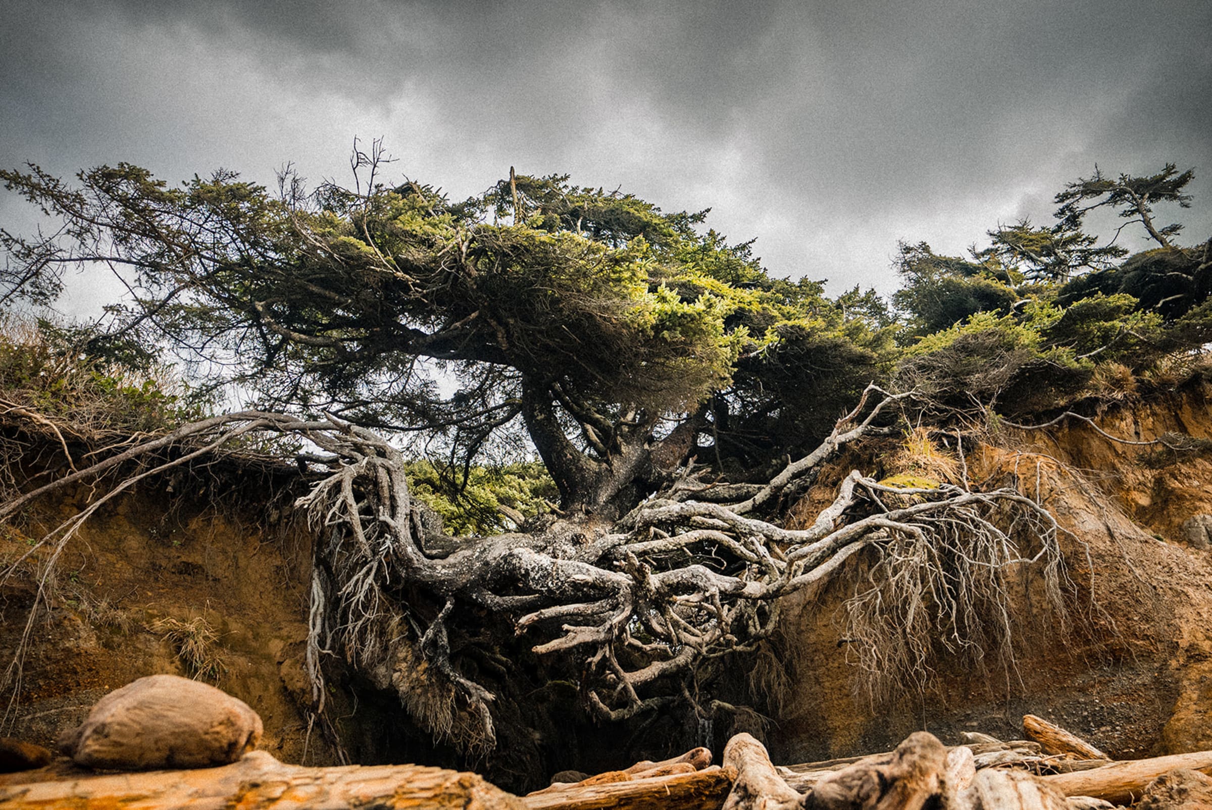 oceanshoreswashington gallery — photographed by Casey Addason Photography (5)