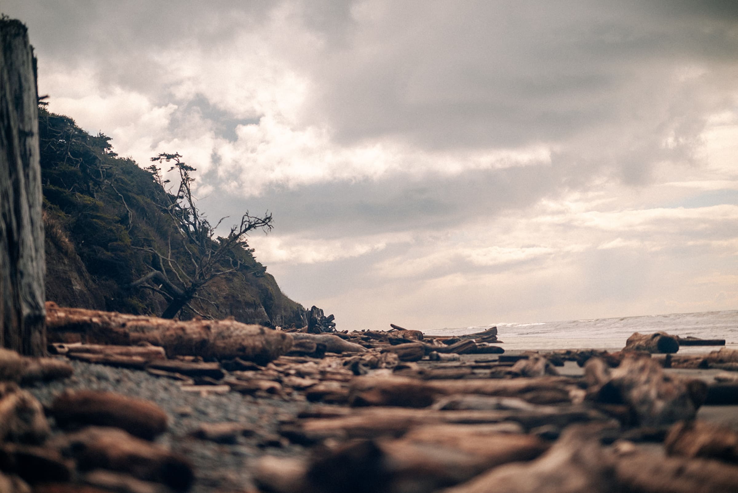 treeoflifekalalochwashington gallery — photographed by Casey Addason Photography (5)