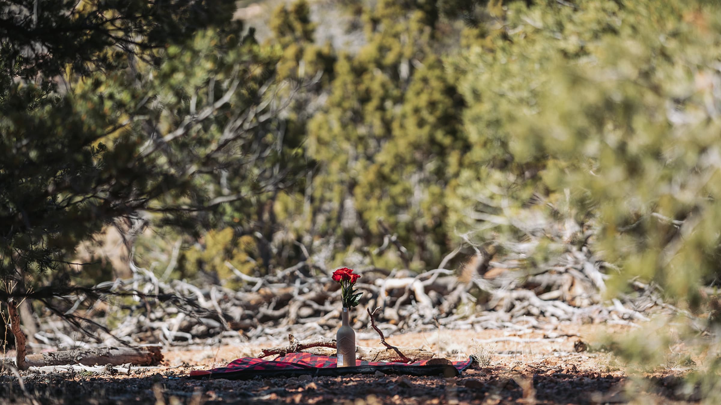 troymaddiehikingproposal — Casey Addason Photography
