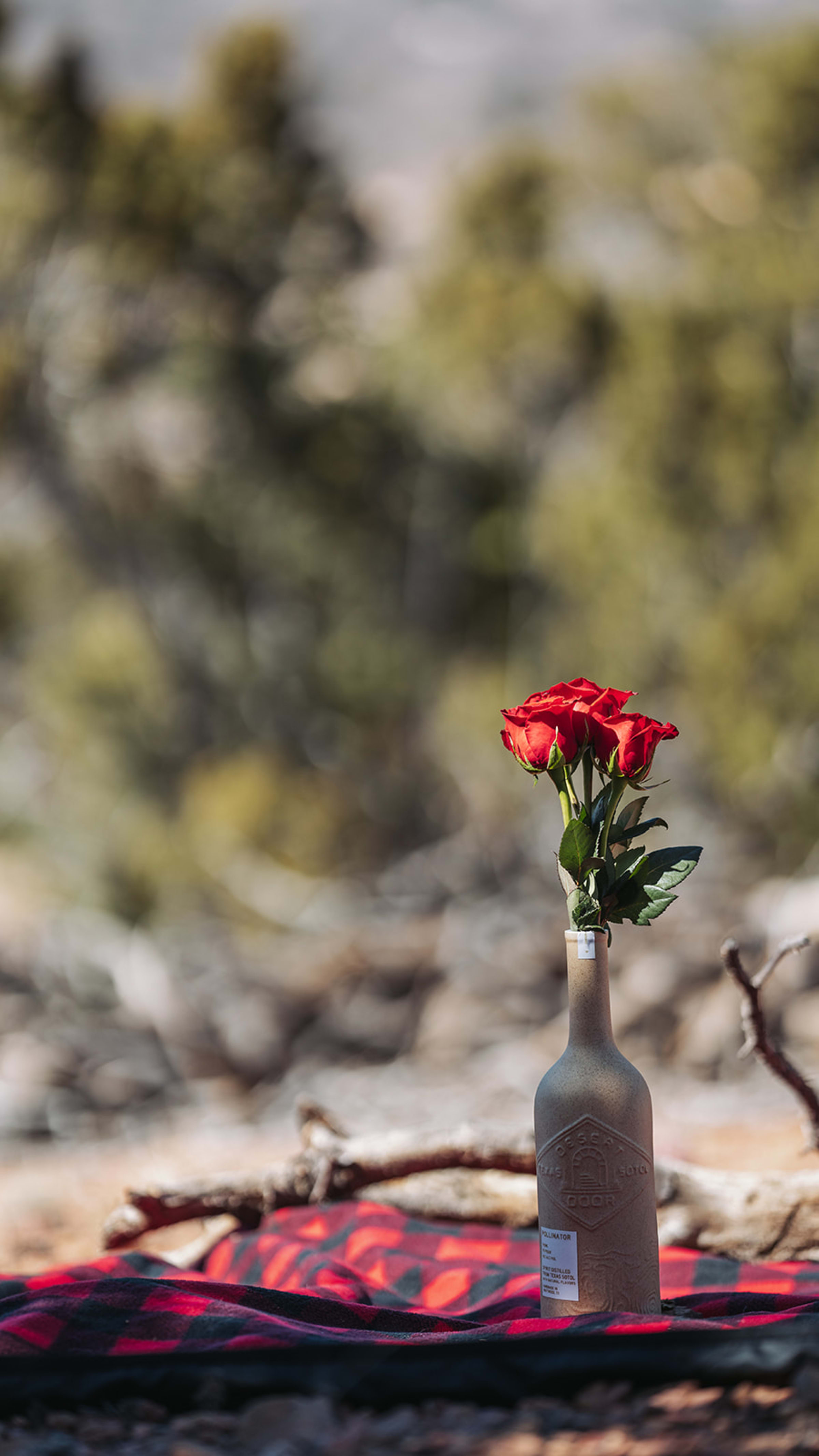 Albuquerque wedding photographer — Casey Addason Photography