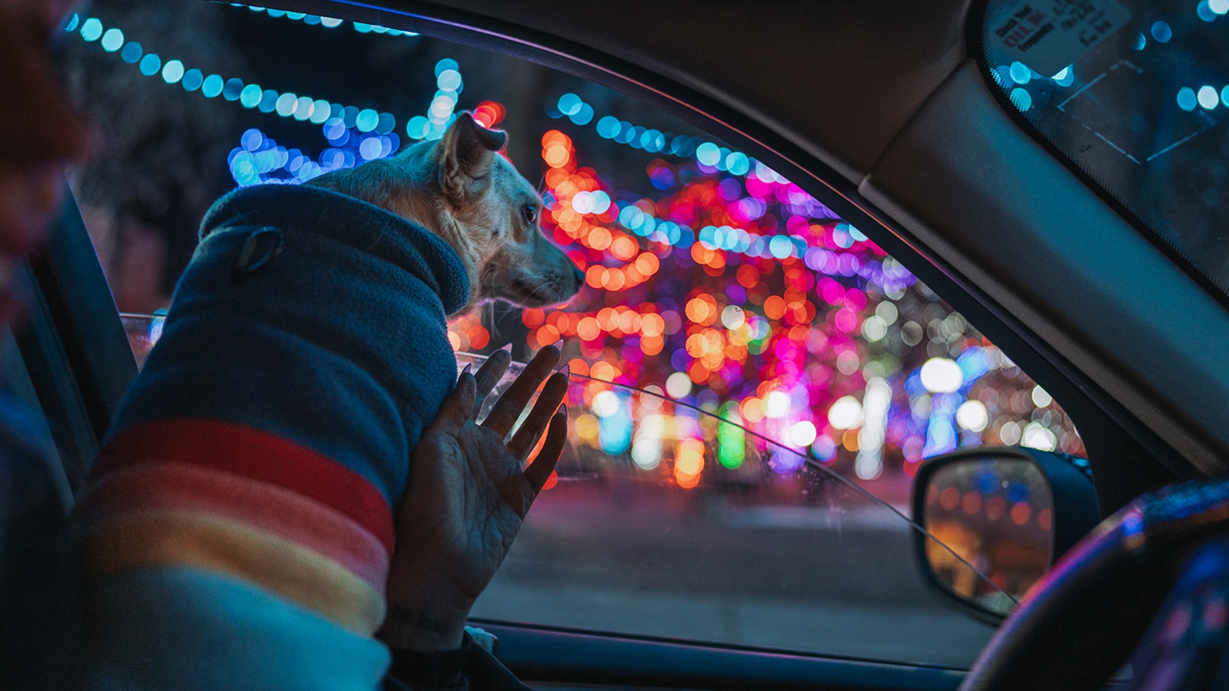 christmaseve23 — Casey Addason Photography